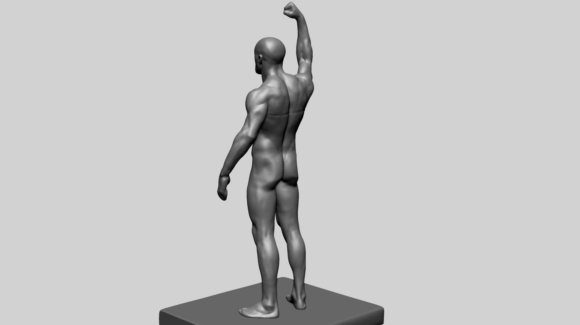 Human Anatomy - Male C 3D model_8