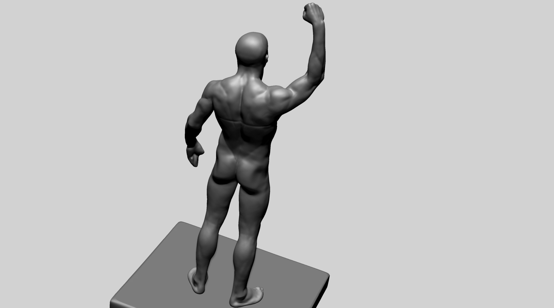 Human Anatomy - Male C 3D model_9