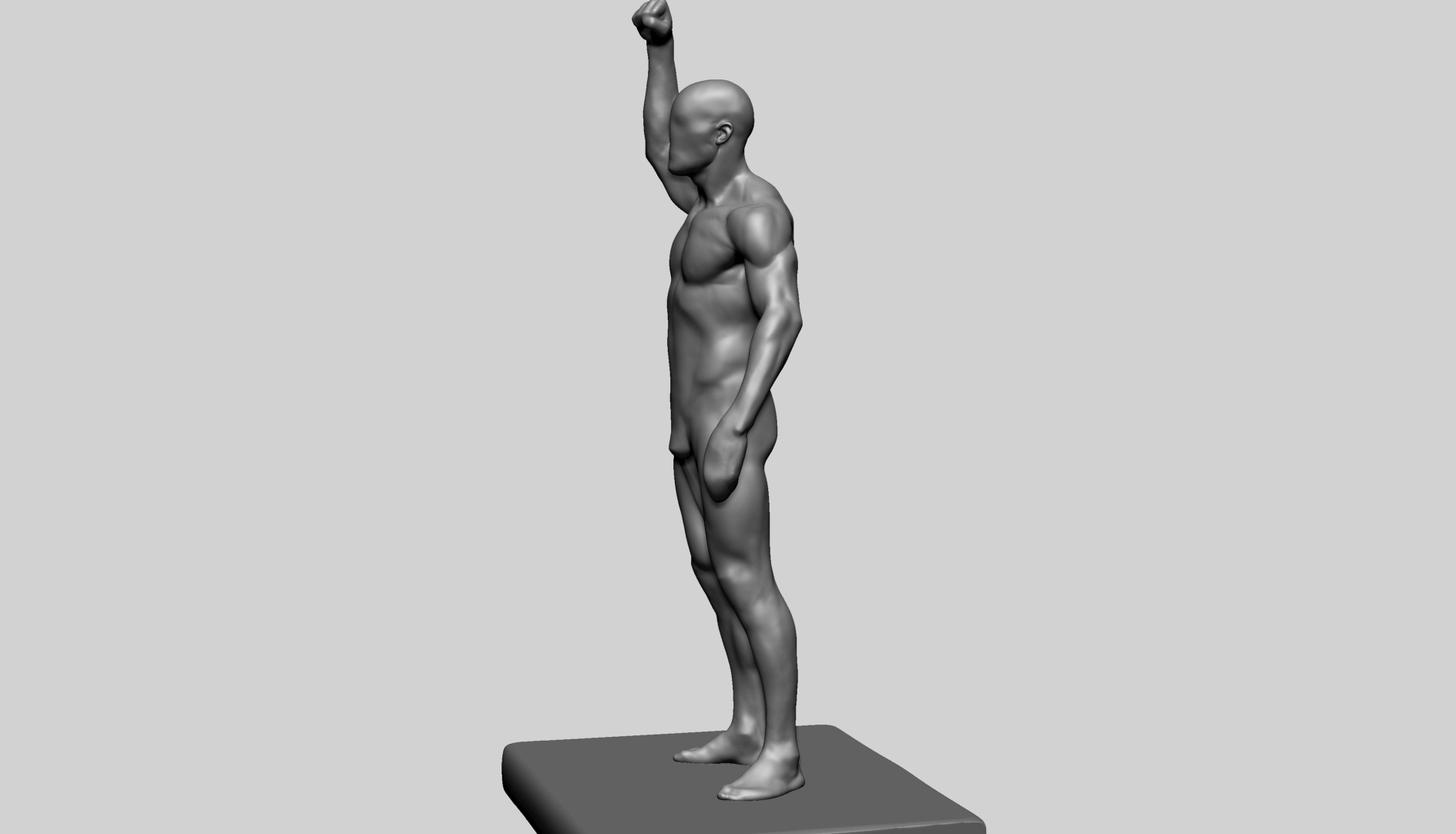 Human Anatomy - Male C 3D model_7