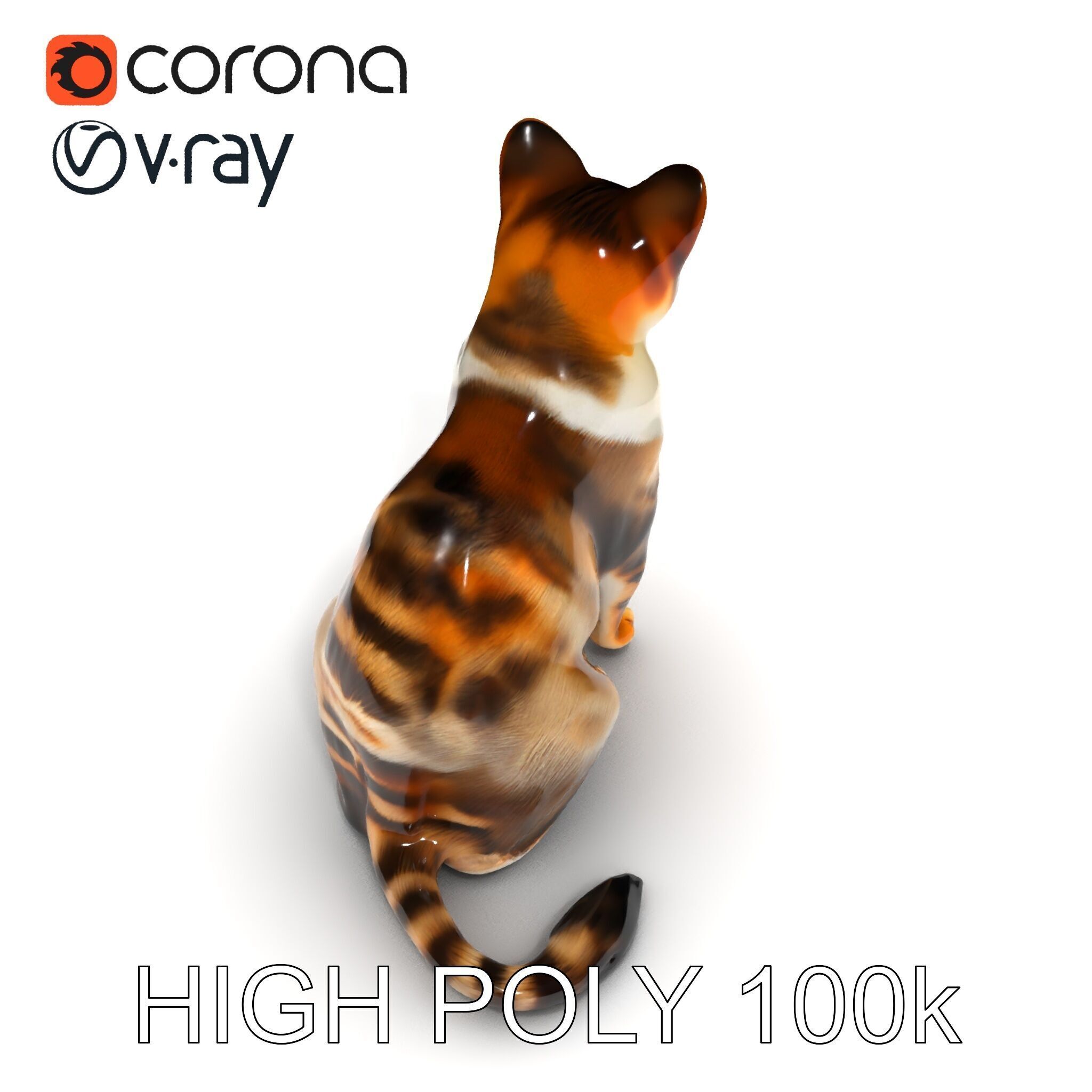 Realistic Cat D Model Pack Low-poly 3D model_35