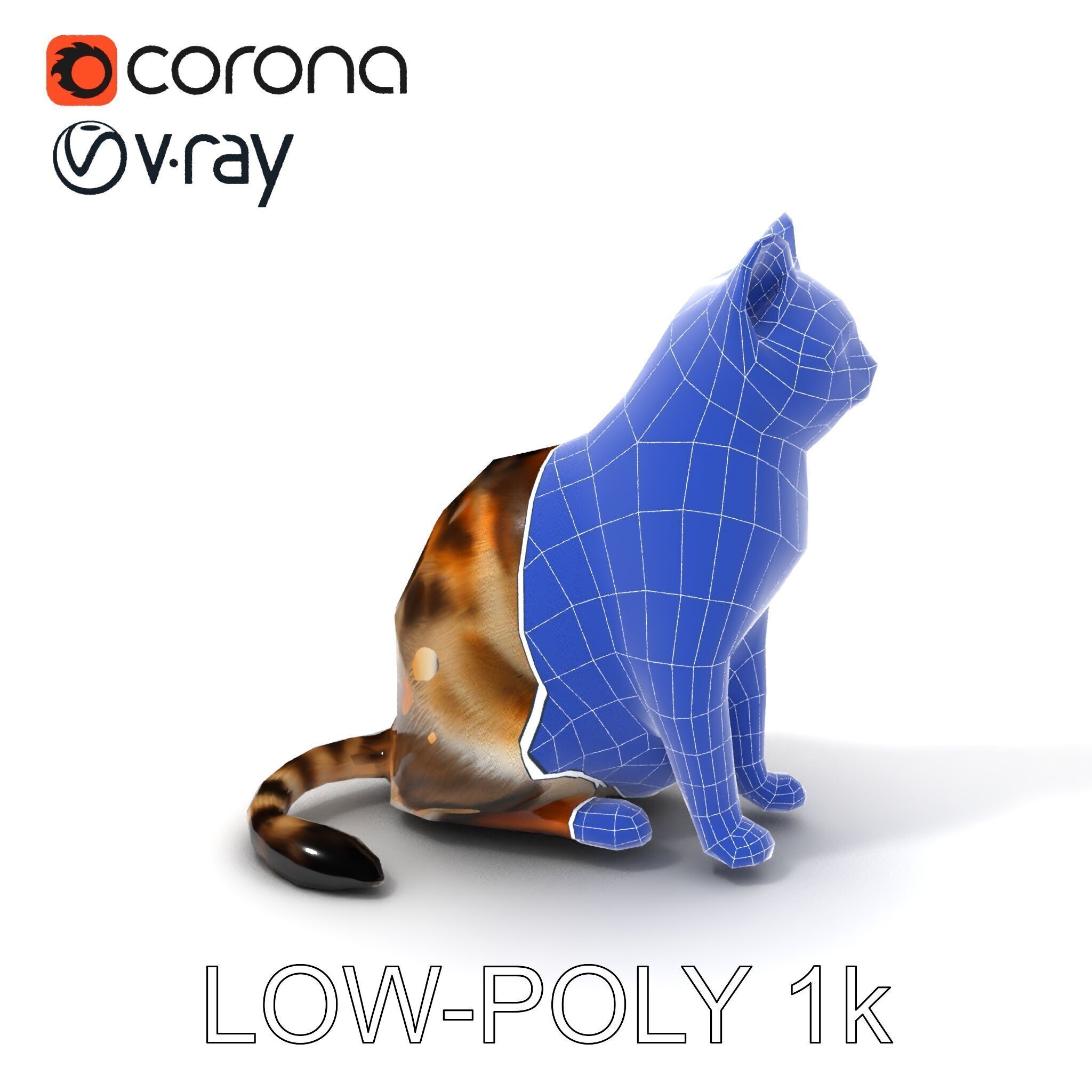 Realistic Cat D Model Pack Low-poly 3D model_26
