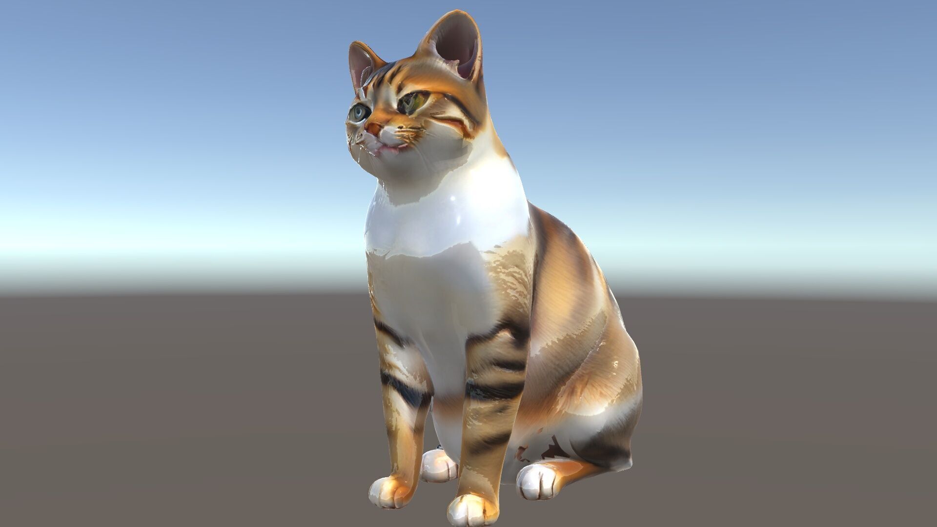 Realistic Cat D Model Pack Low-poly 3D model_30