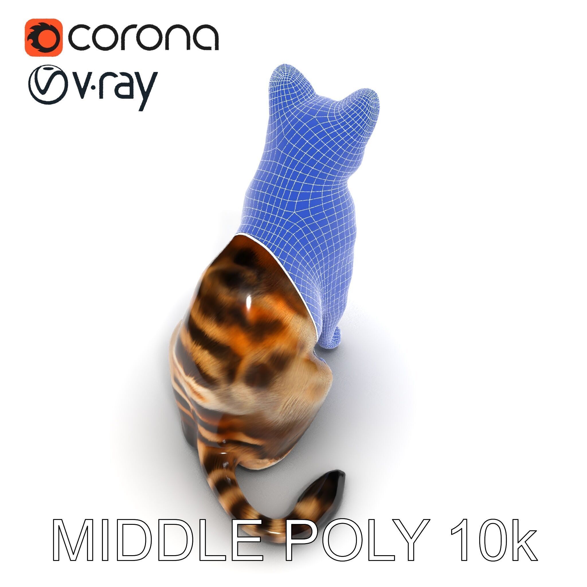 Realistic Cat D Model Pack Low-poly 3D model_23