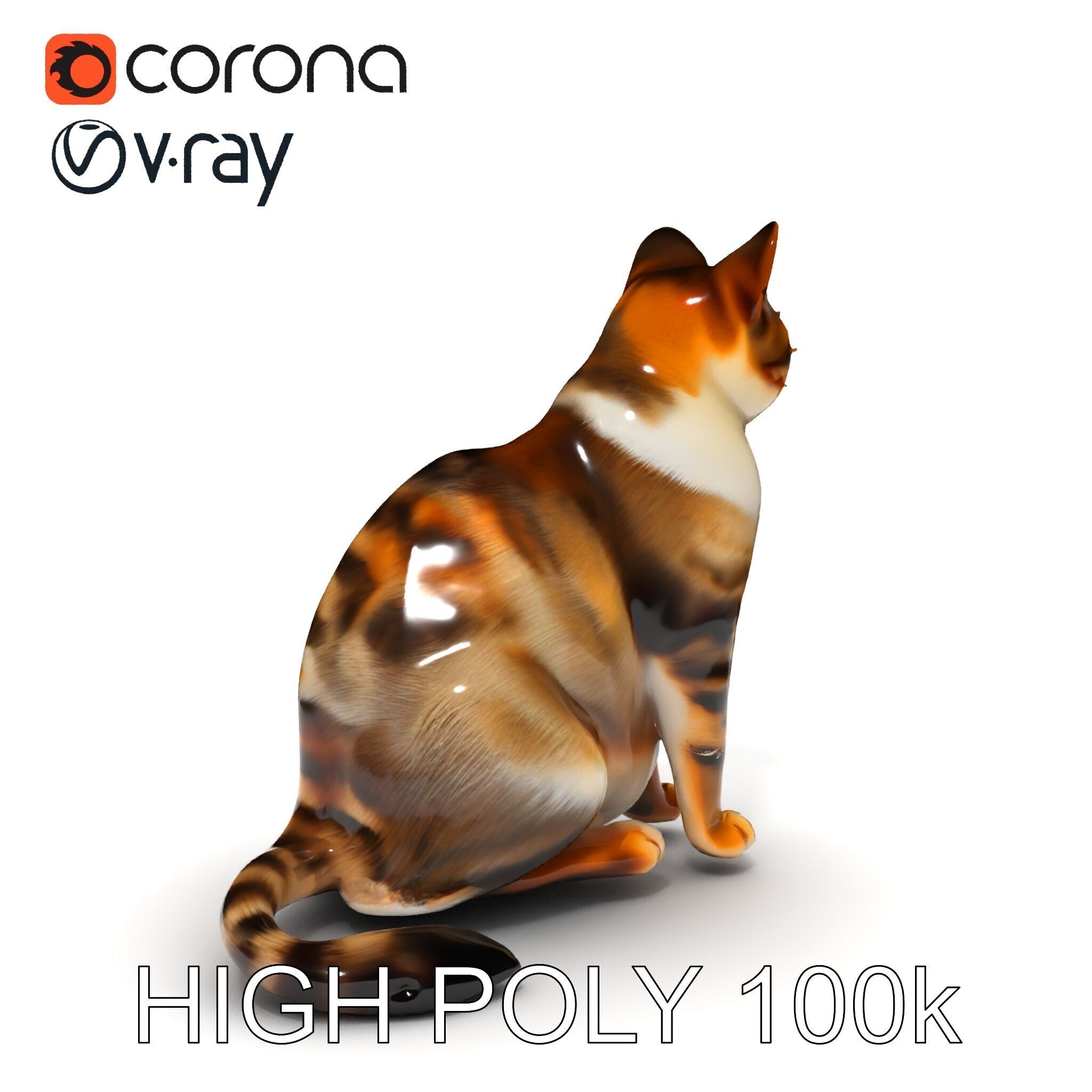 Realistic Cat D Model Pack Low-poly 3D model_11