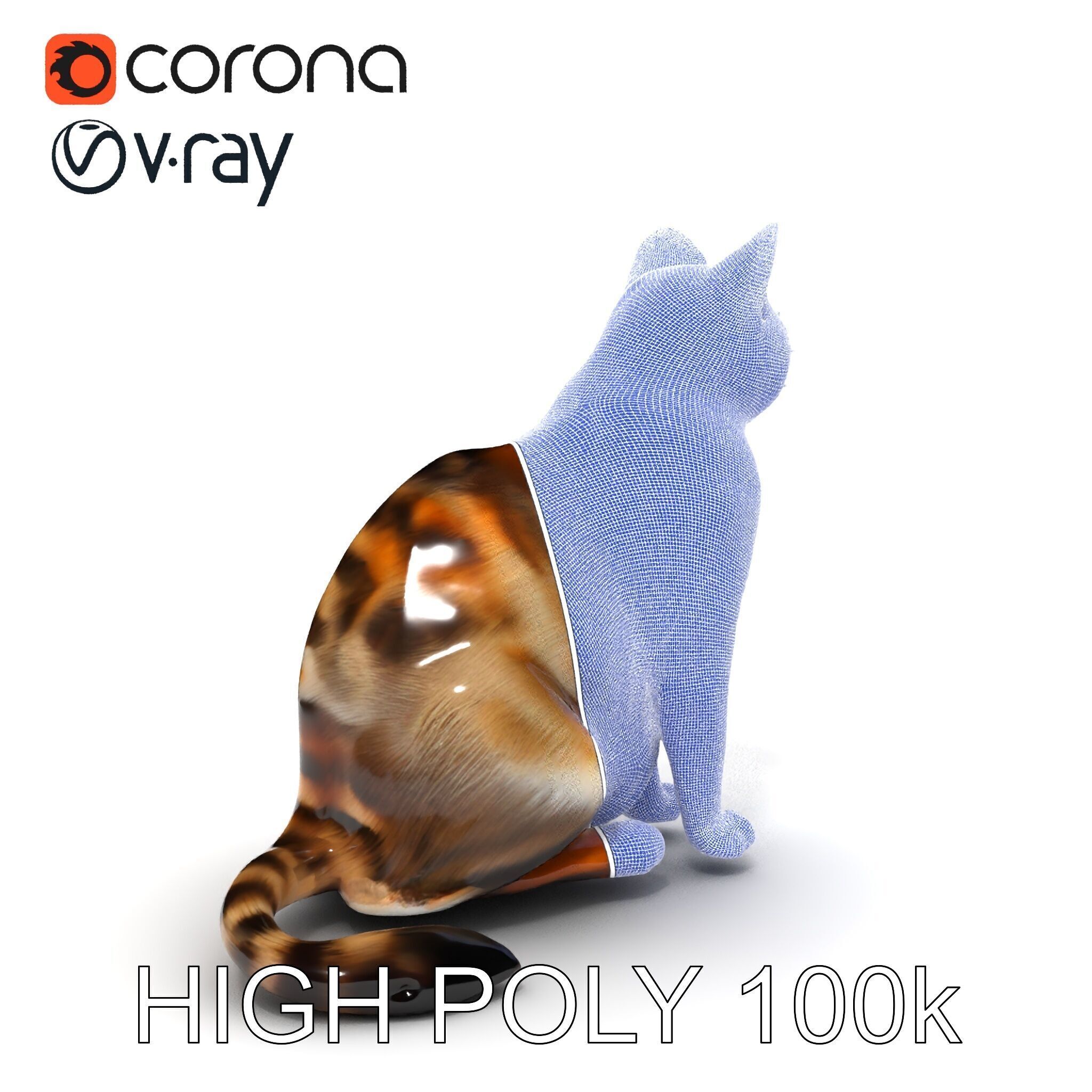 Realistic Cat D Model Pack Low-poly 3D model_22
