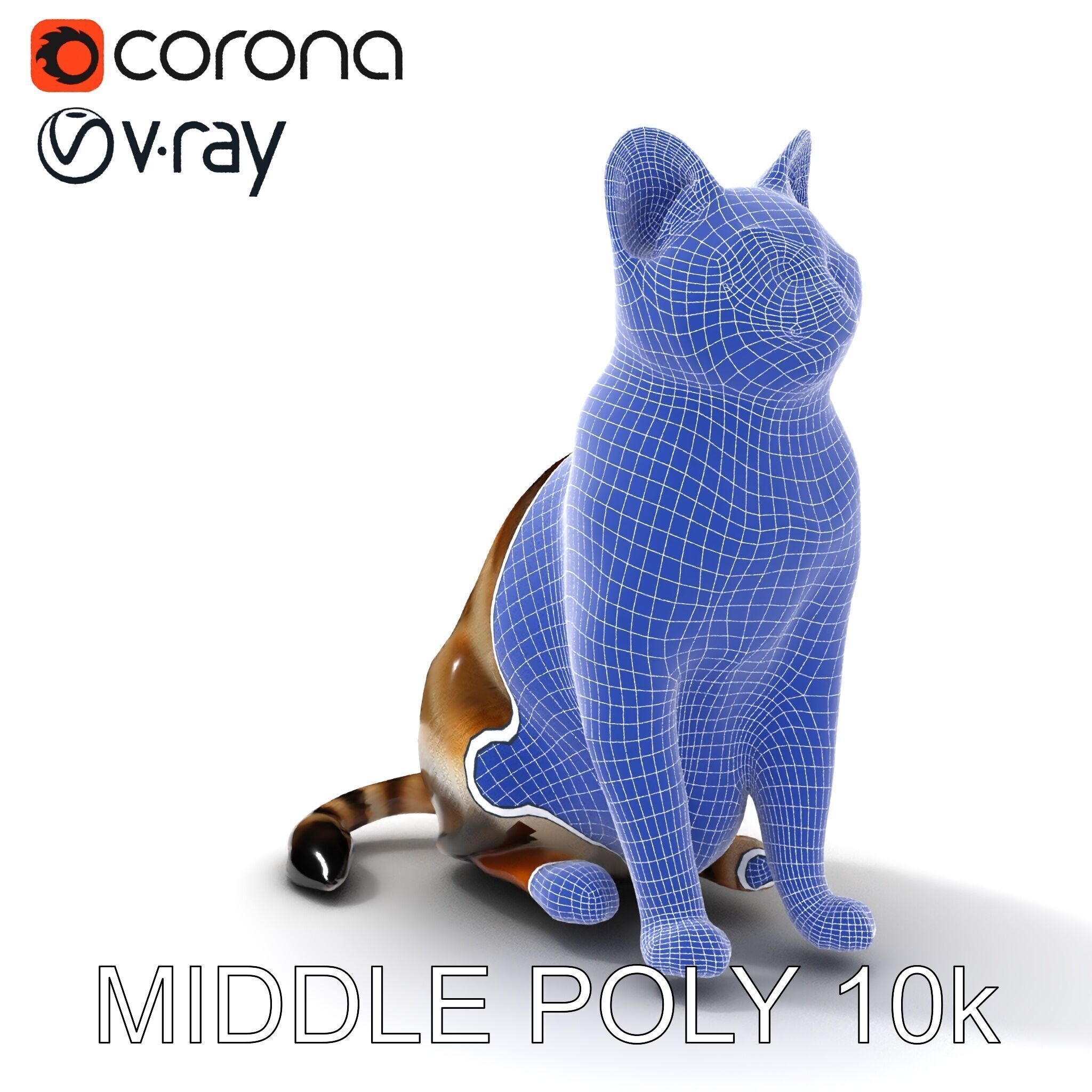 Realistic Cat D Model Pack Low-poly 3D model_12