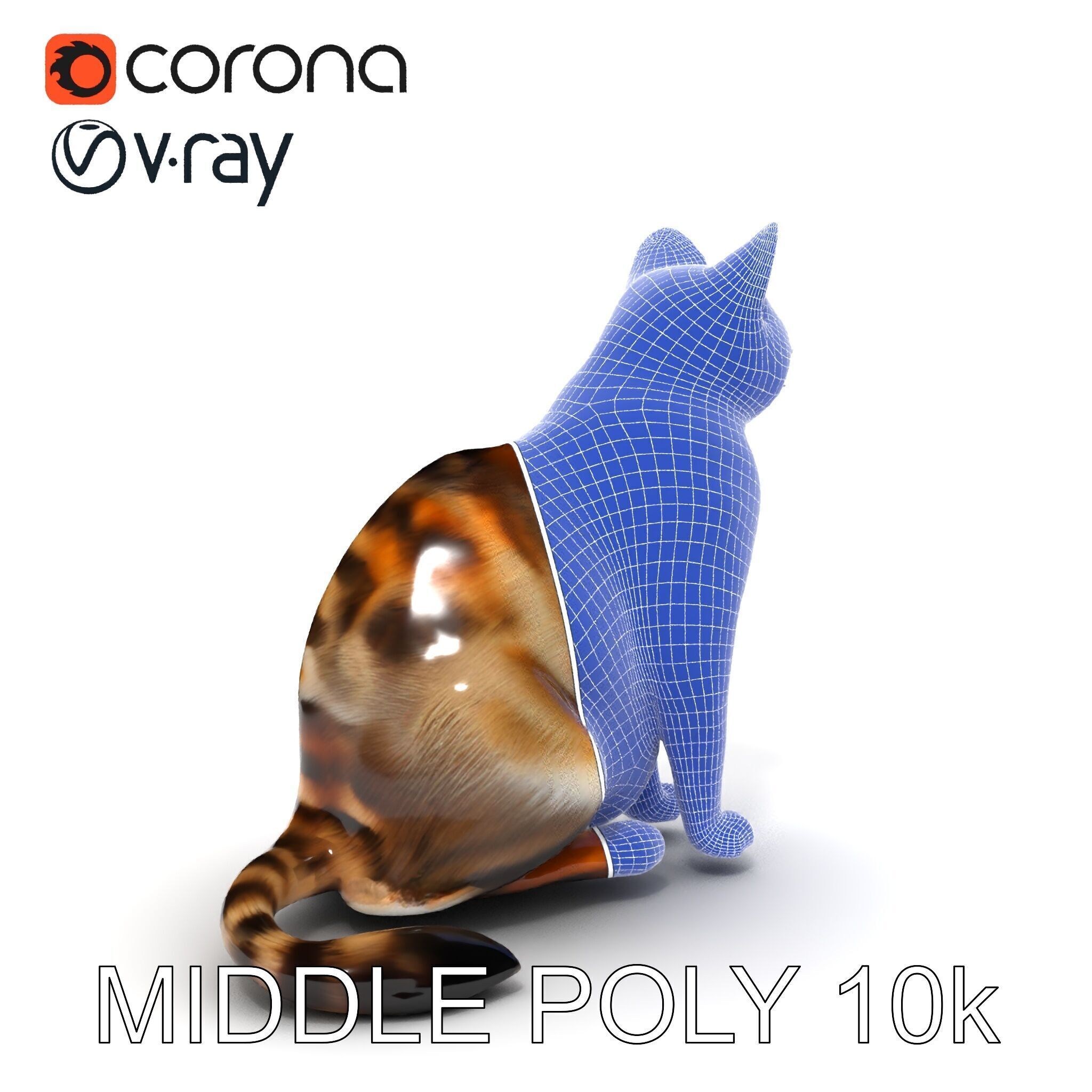 Realistic Cat D Model Pack Low-poly 3D model_20