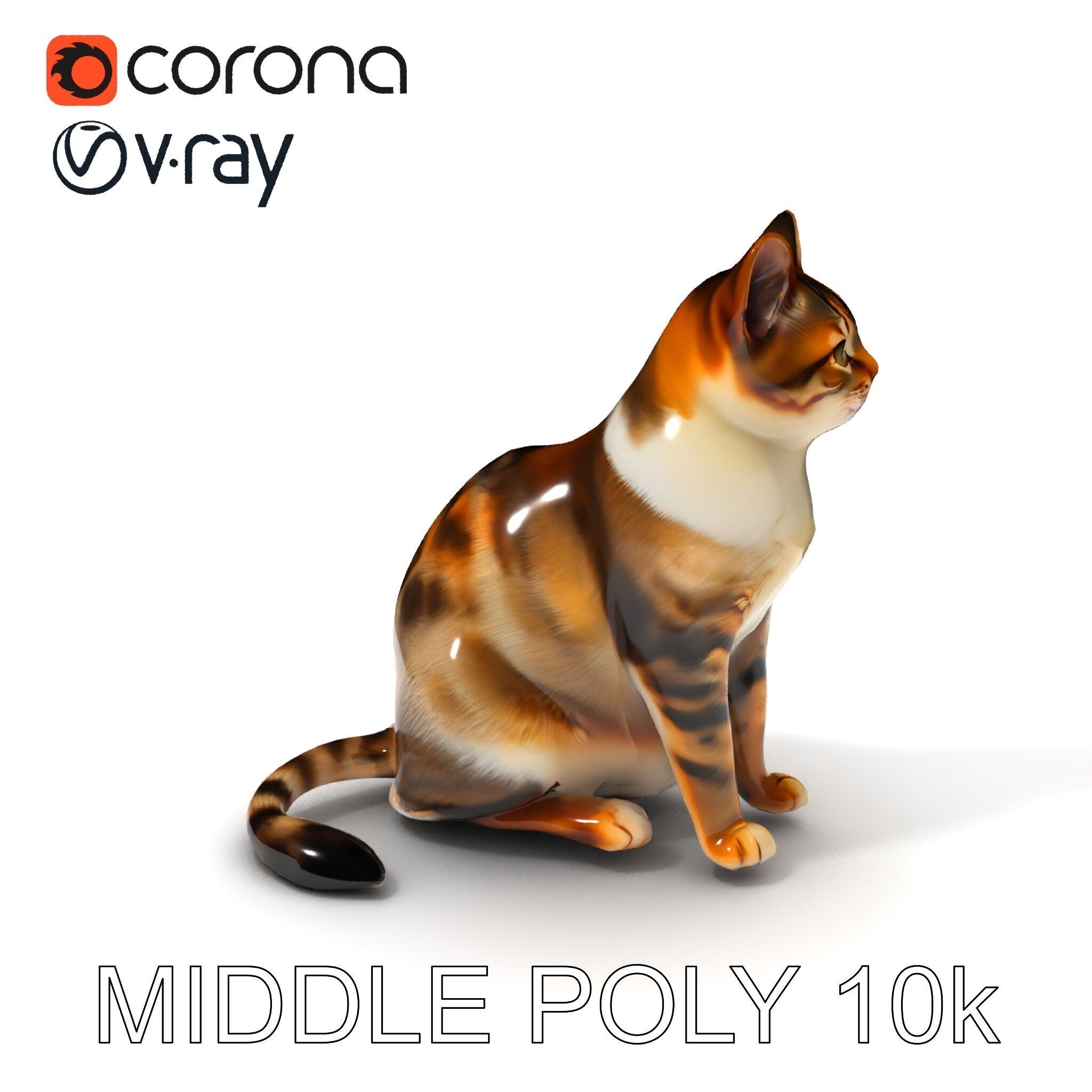 Realistic Cat D Model Pack Low-poly 3D model_25