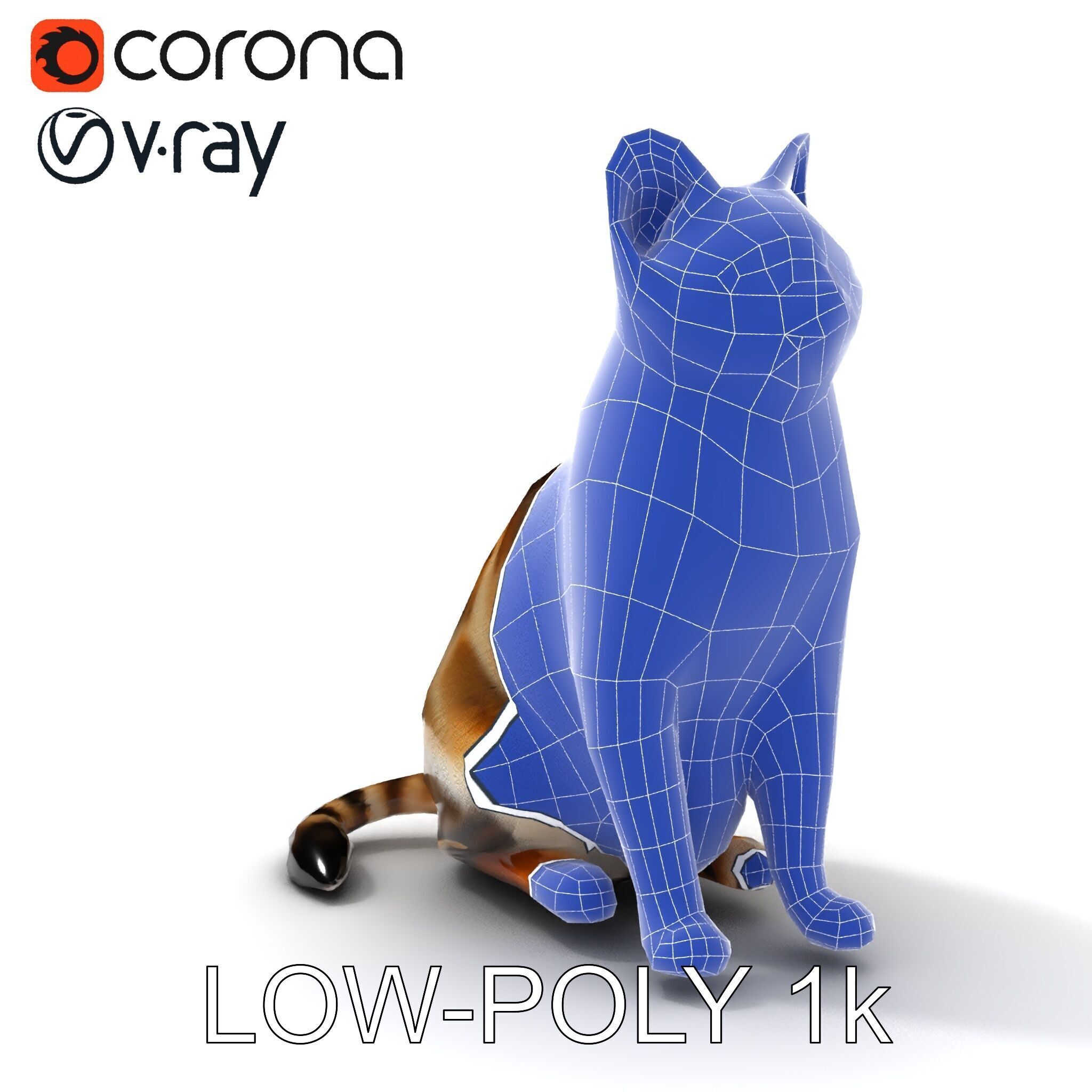 Realistic Cat D Model Pack Low-poly 3D model_21