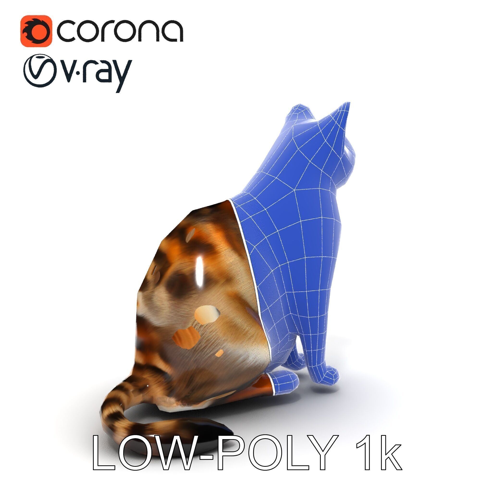 Realistic Cat D Model Pack Low-poly 3D model_13
