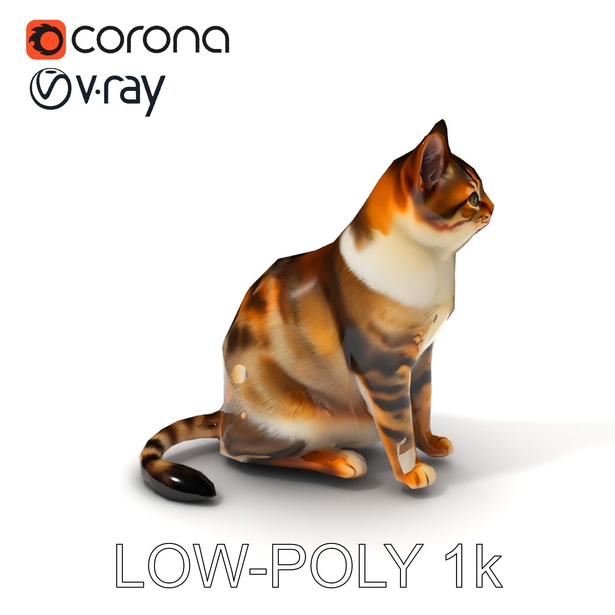 Realistic Cat D Model Pack Low-poly 3D model_31