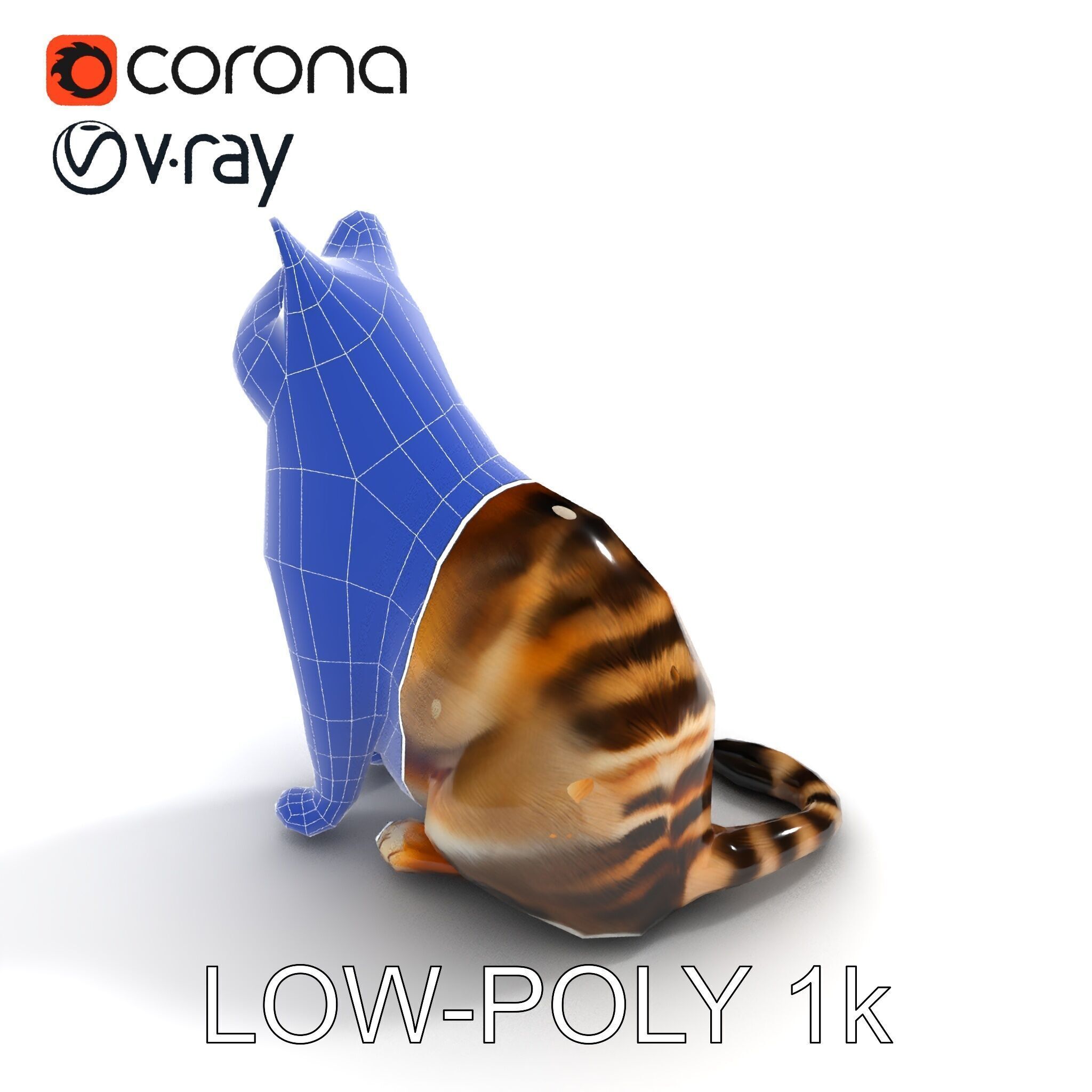 Realistic Cat D Model Pack Low-poly 3D model_7
