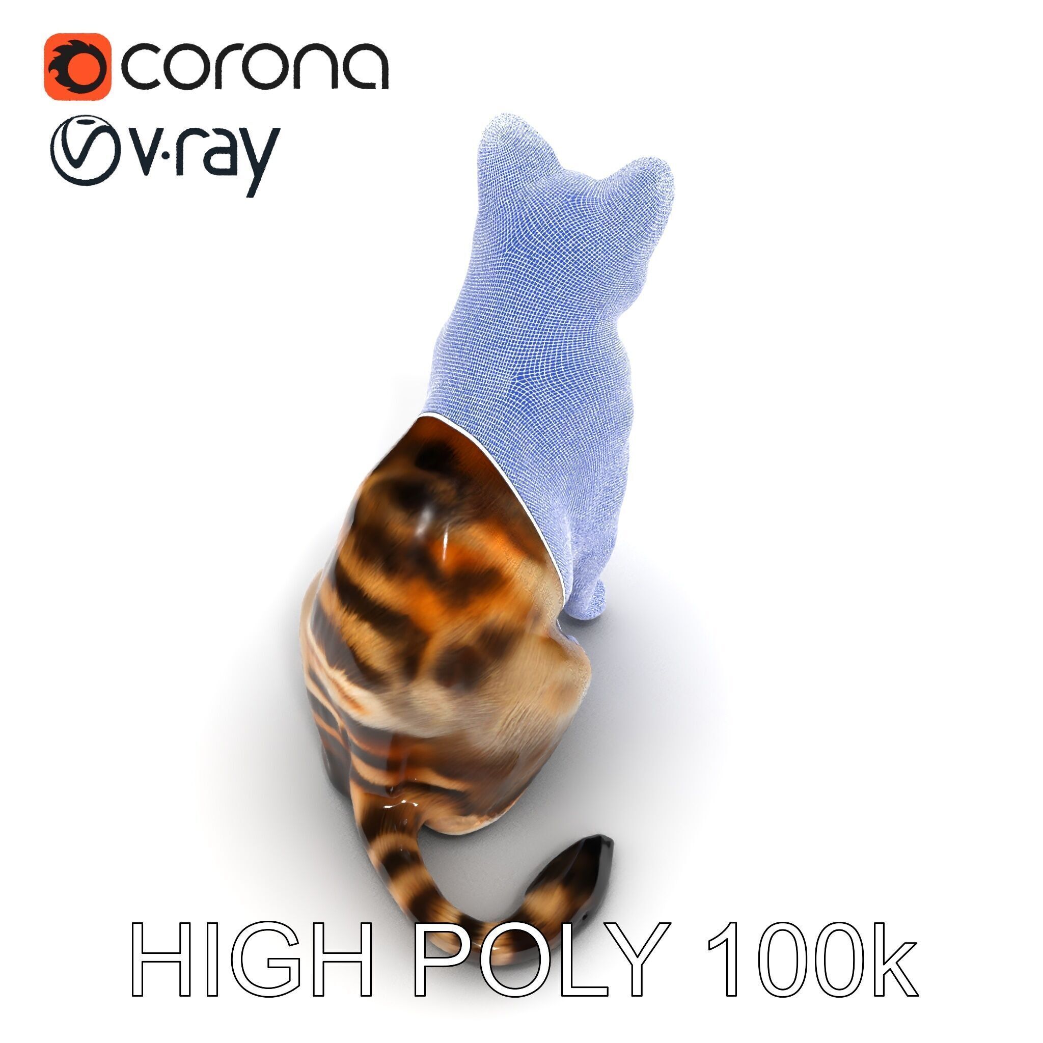 Realistic Cat D Model Pack Low-poly 3D model_27