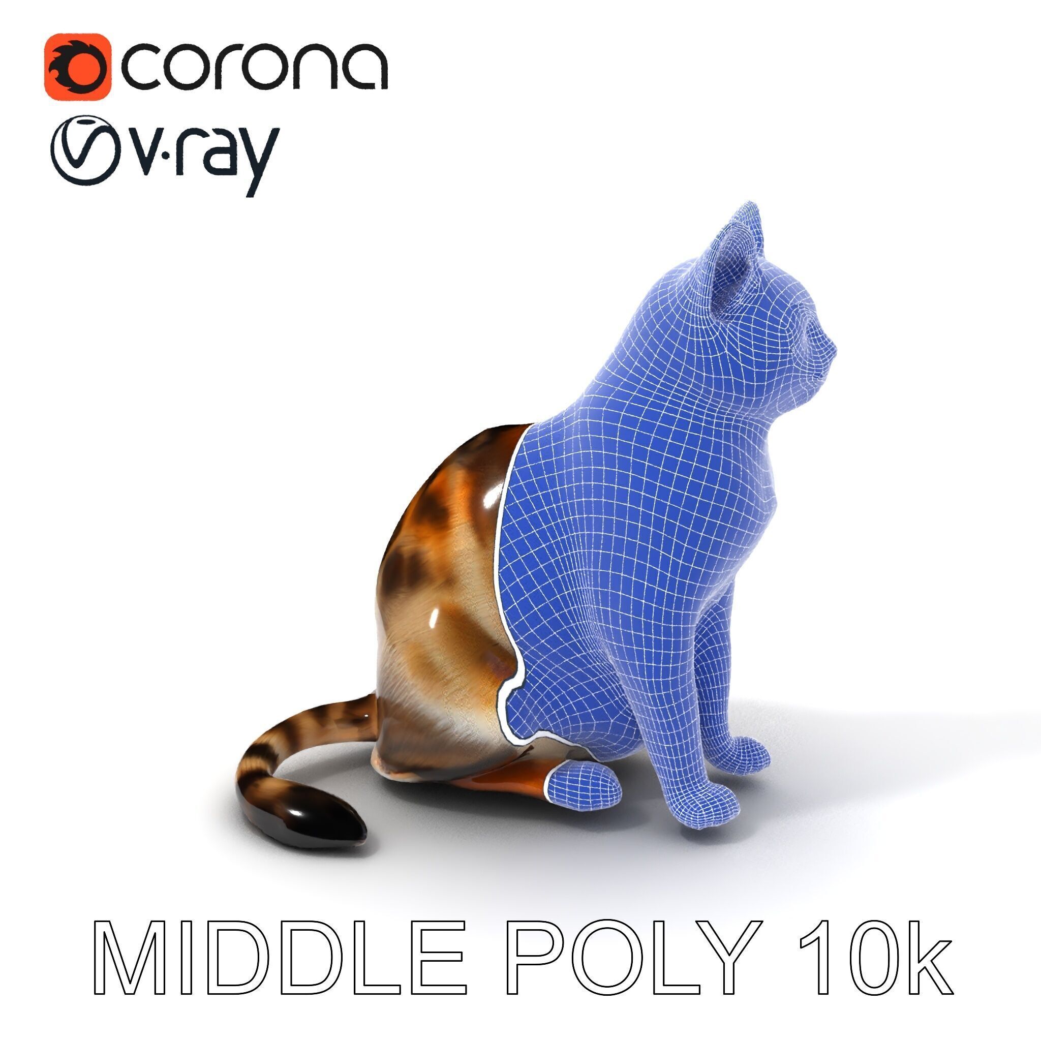Realistic Cat D Model Pack Low-poly 3D model_33
