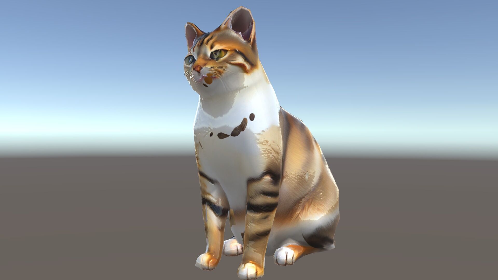 Realistic Cat D Model Pack Low-poly 3D model_34
