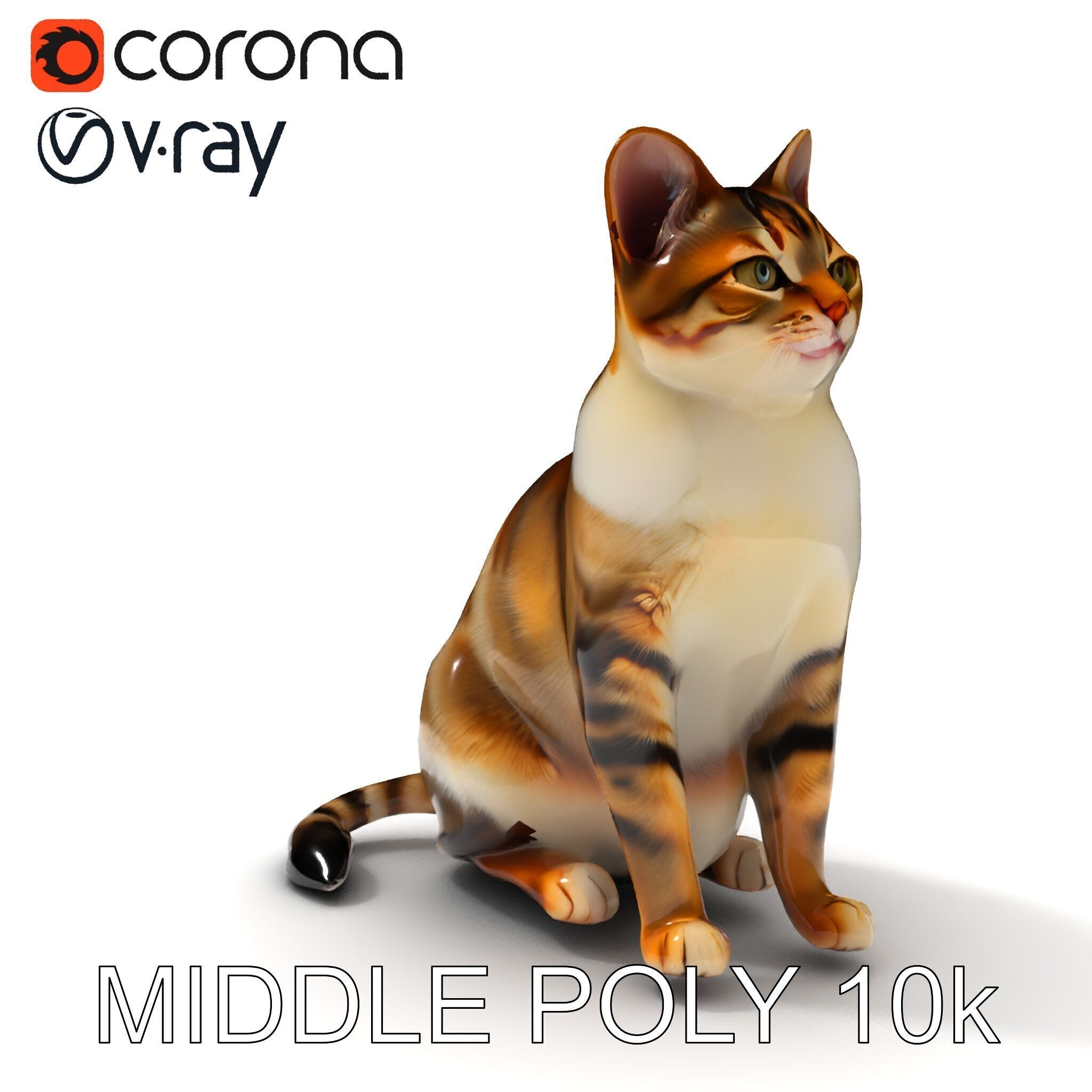 Realistic Cat D Model Pack Low-poly 3D model_6
