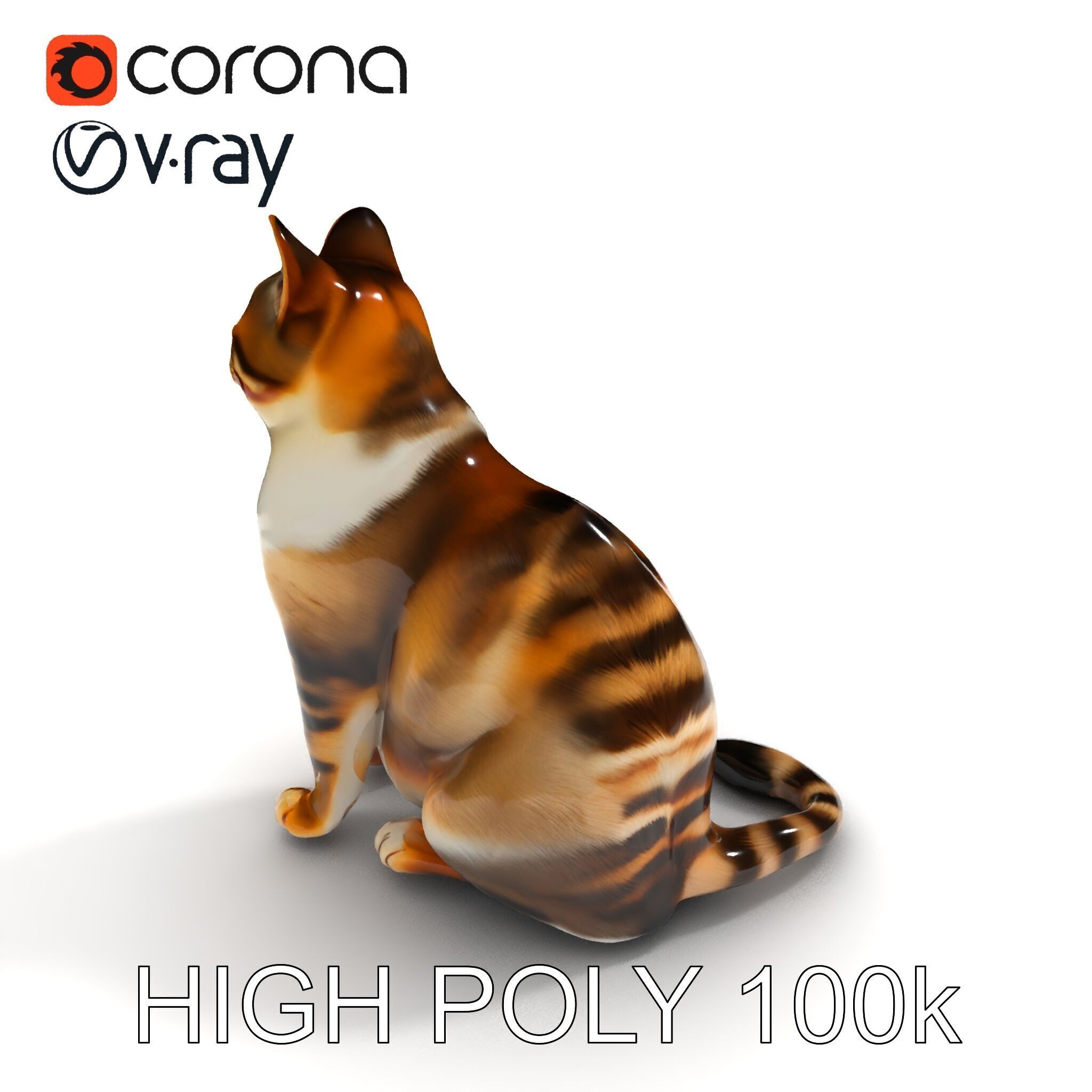 Realistic Cat D Model Pack Low-poly 3D model_8