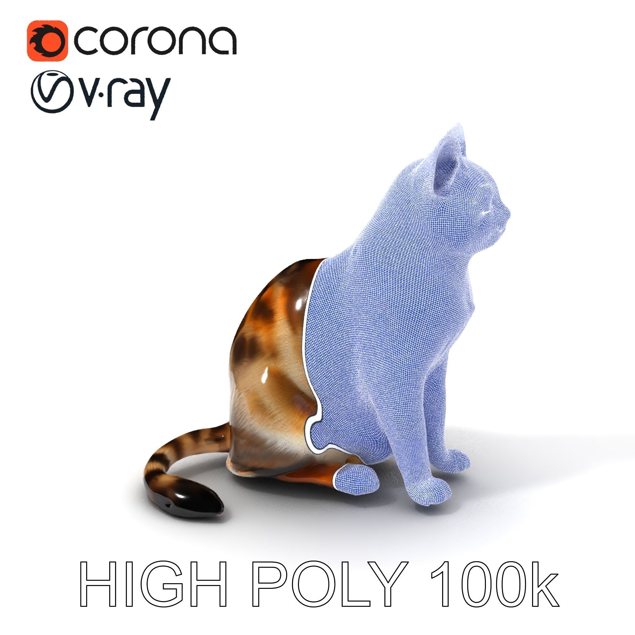 Realistic Cat D Model Pack Low-poly 3D model_3