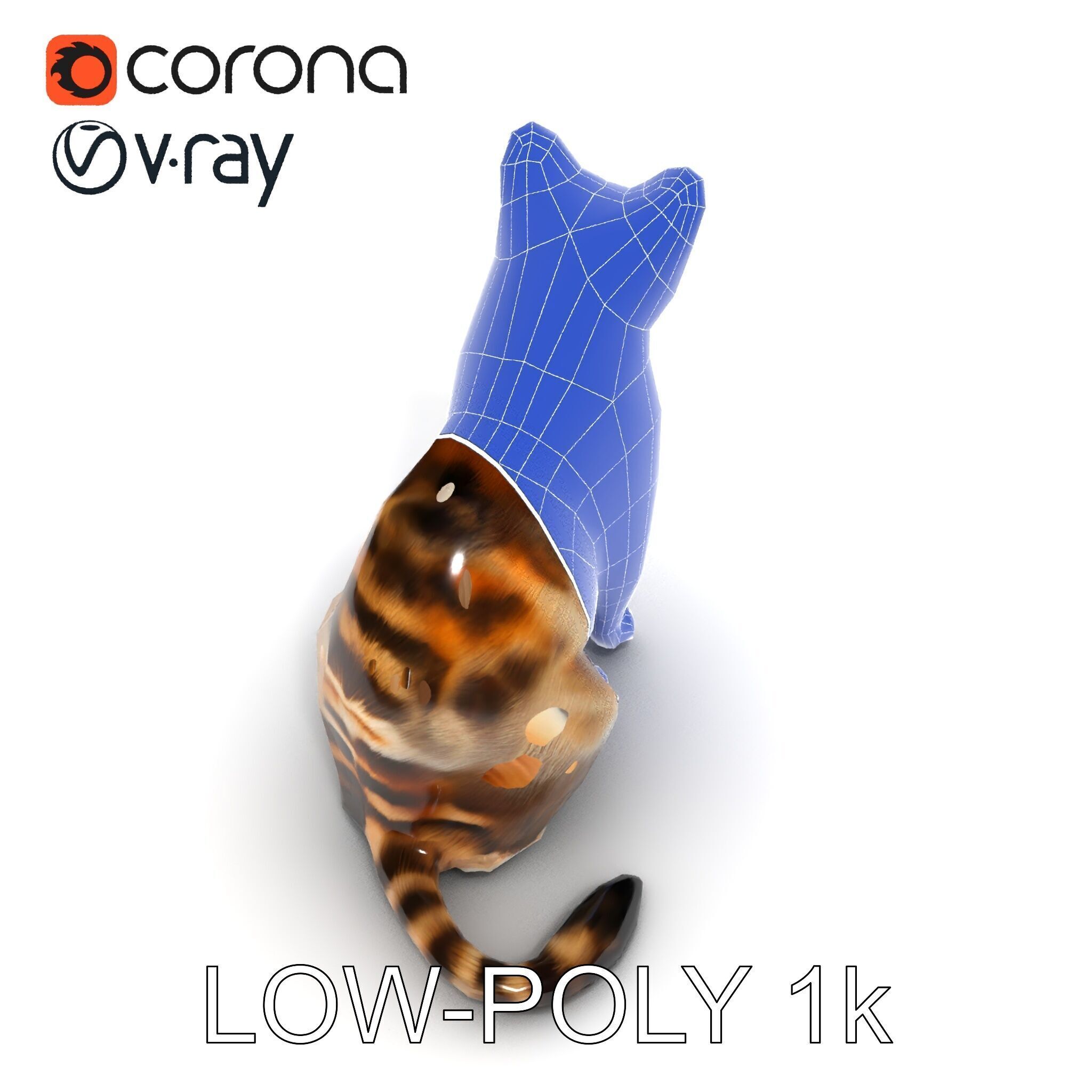 Realistic Cat D Model Pack Low-poly 3D model_29