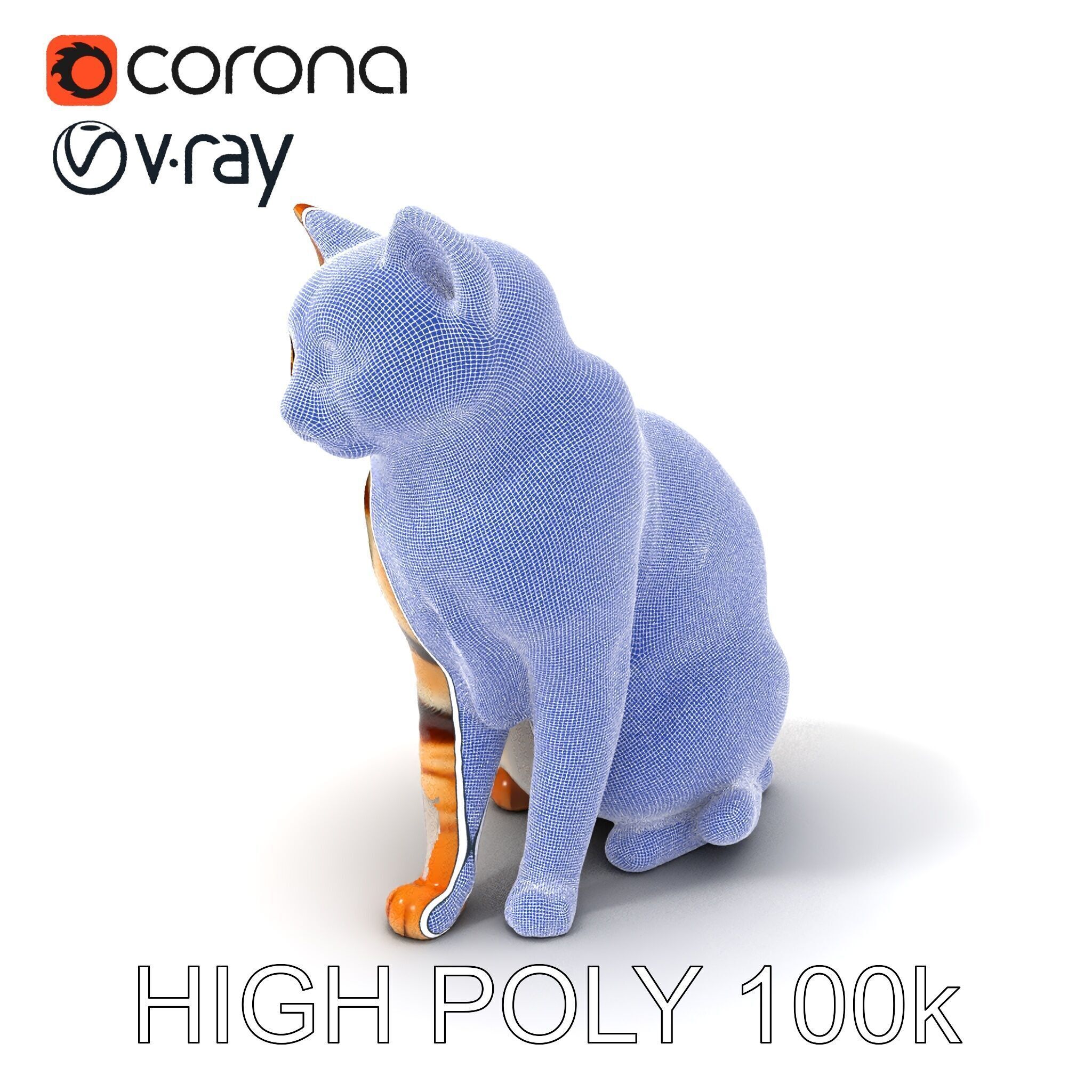 Realistic Cat Model Pack for Animation and Game Environments Low-poly 3D model_3