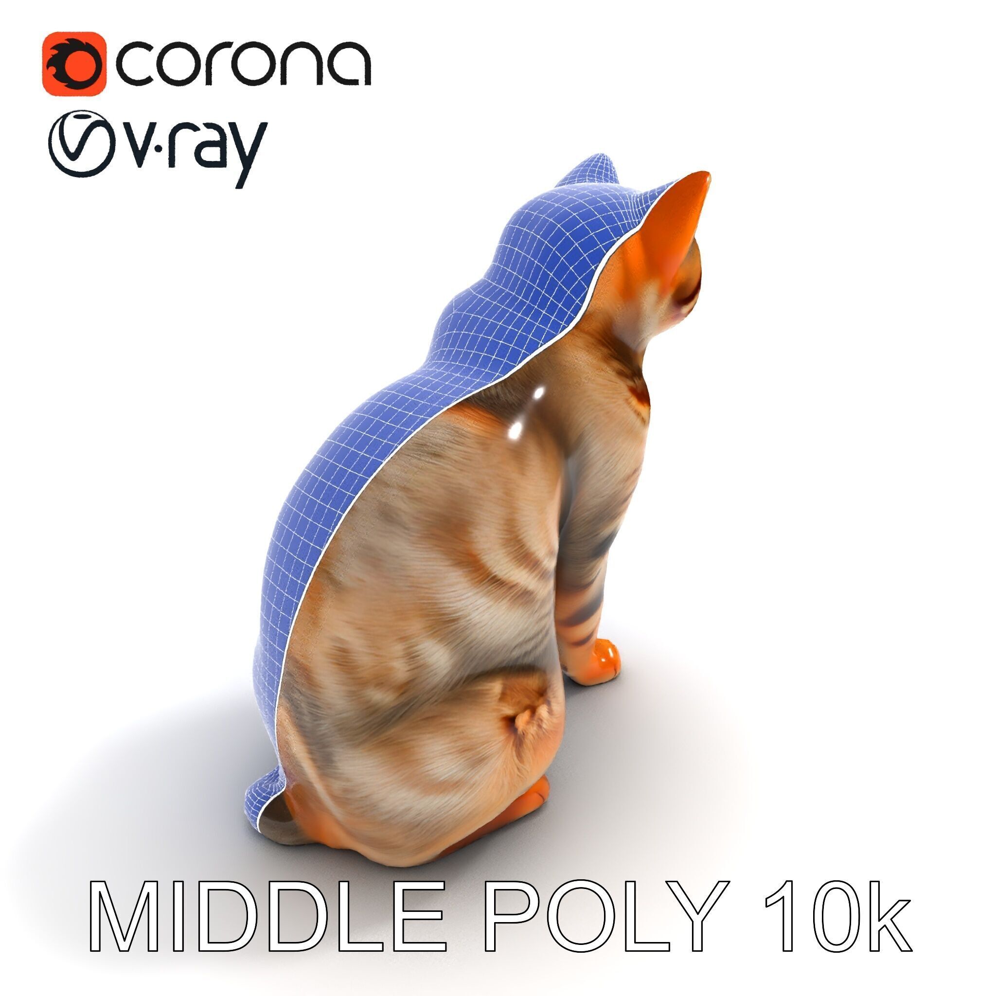 Realistic Cat Model Pack for Animation and Game Environments Low-poly 3D model_6