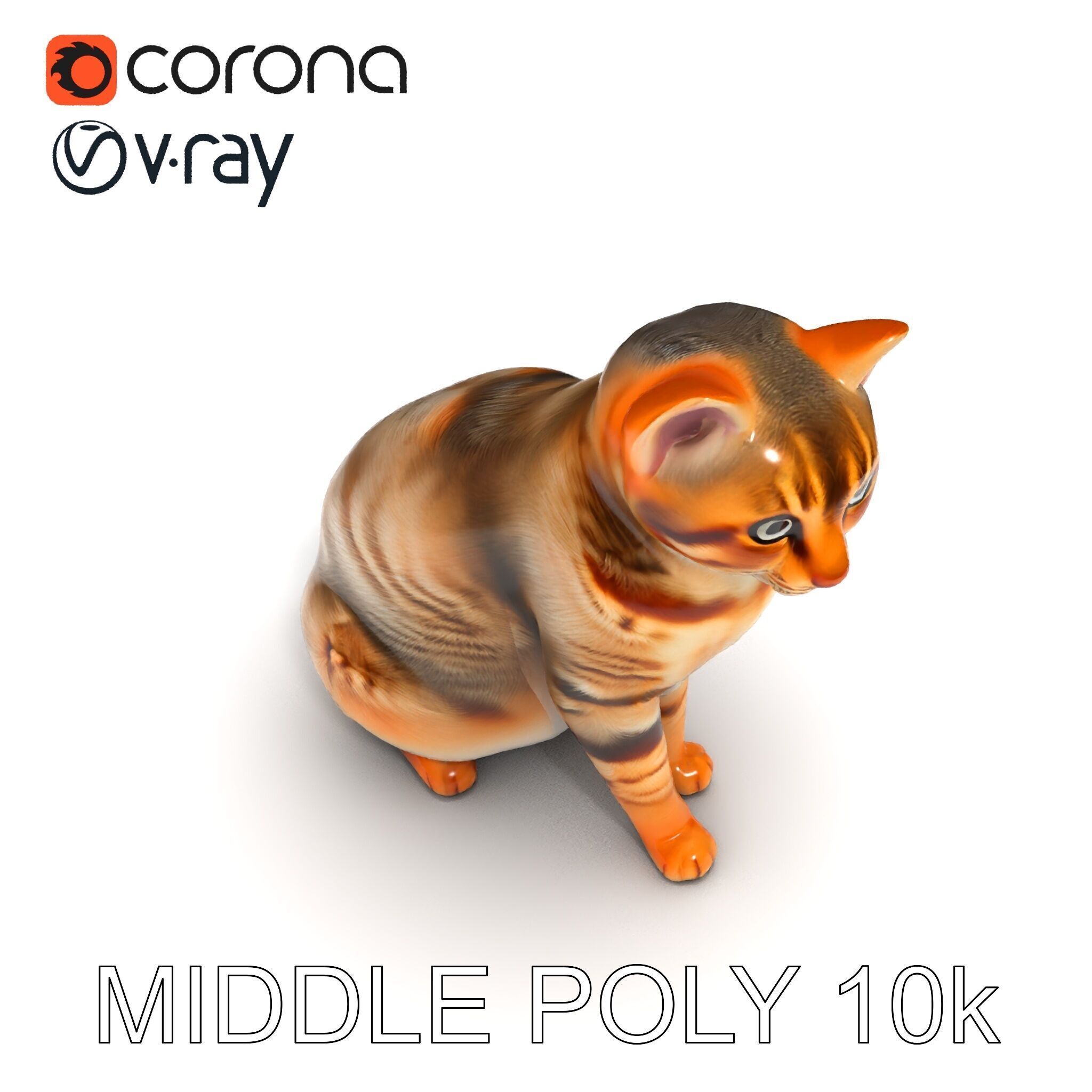 Realistic Cat Model Pack for Animation and Game Environments Low-poly 3D model_29