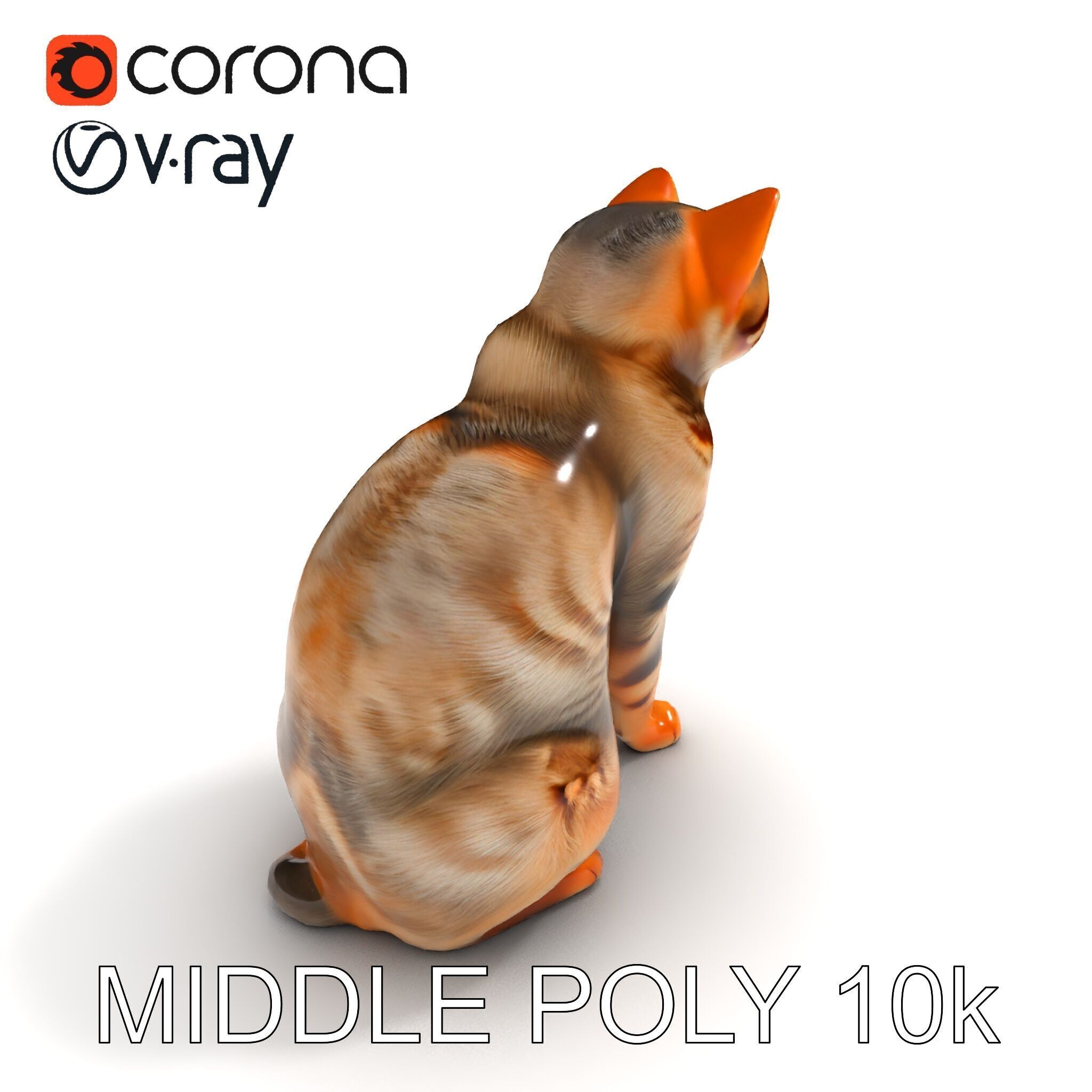 Realistic Cat Model Pack for Animation and Game Environments Low-poly 3D model_18