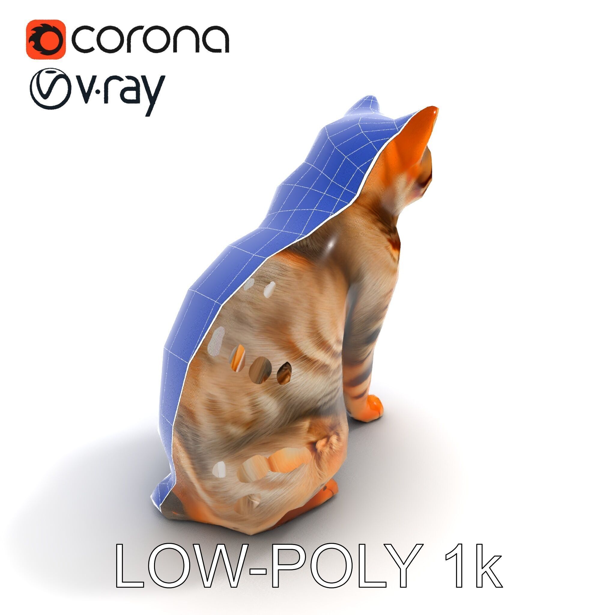 Realistic Cat Model Pack for Animation and Game Environments Low-poly 3D model_22