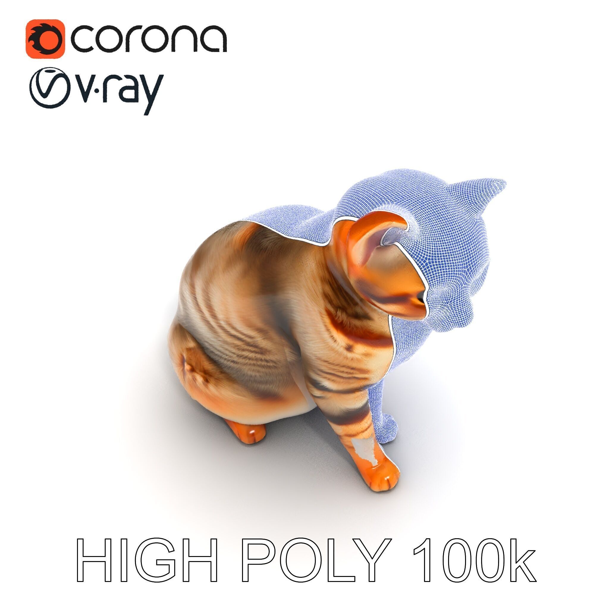 Realistic Cat Model Pack for Animation and Game Environments Low-poly 3D model_31