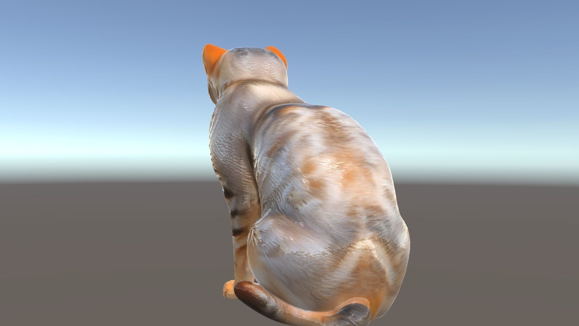 Realistic Cat Model Pack for Animation and Game Environments Low-poly 3D model_15