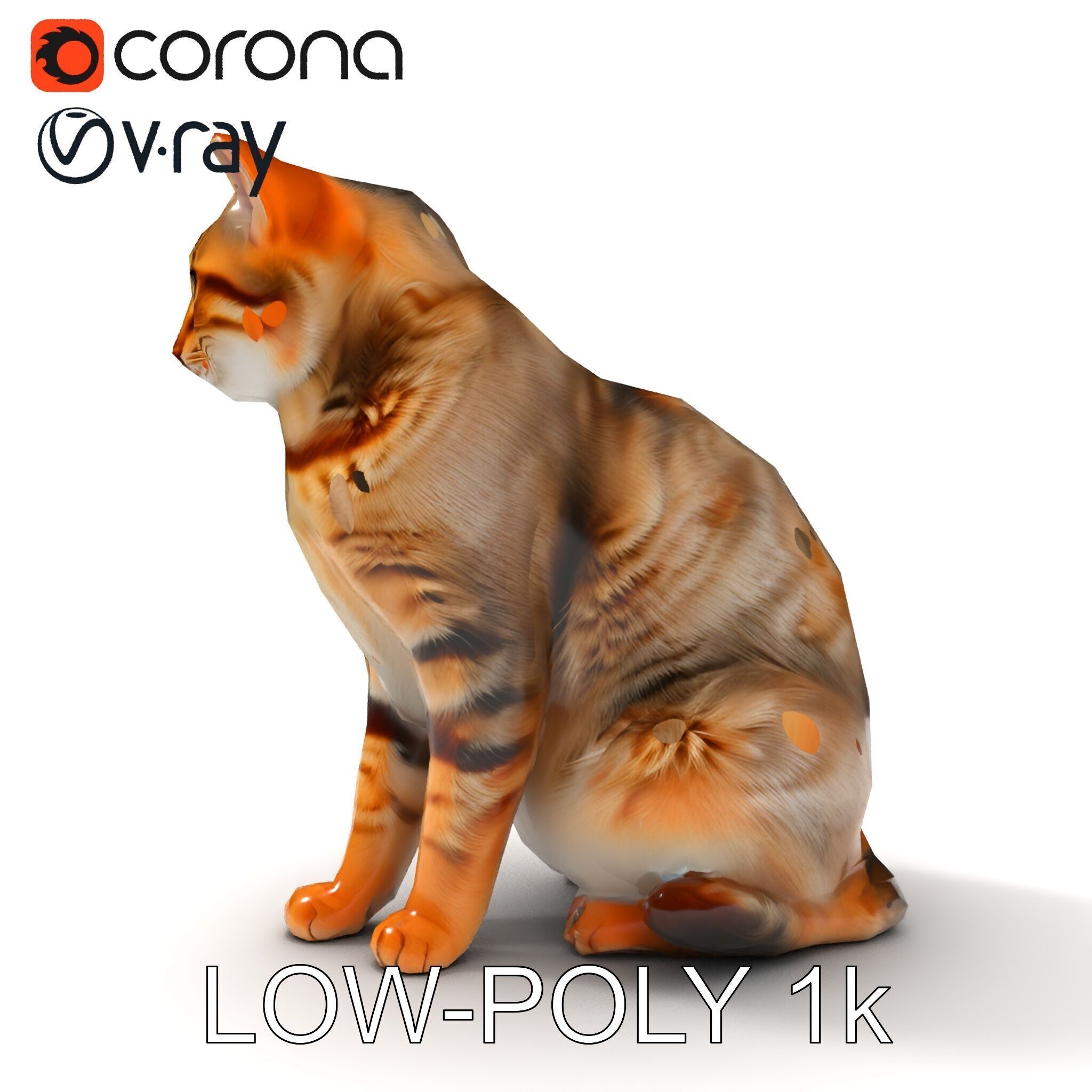 Realistic Cat Model Pack for Animation and Game Environments Low-poly 3D model_30