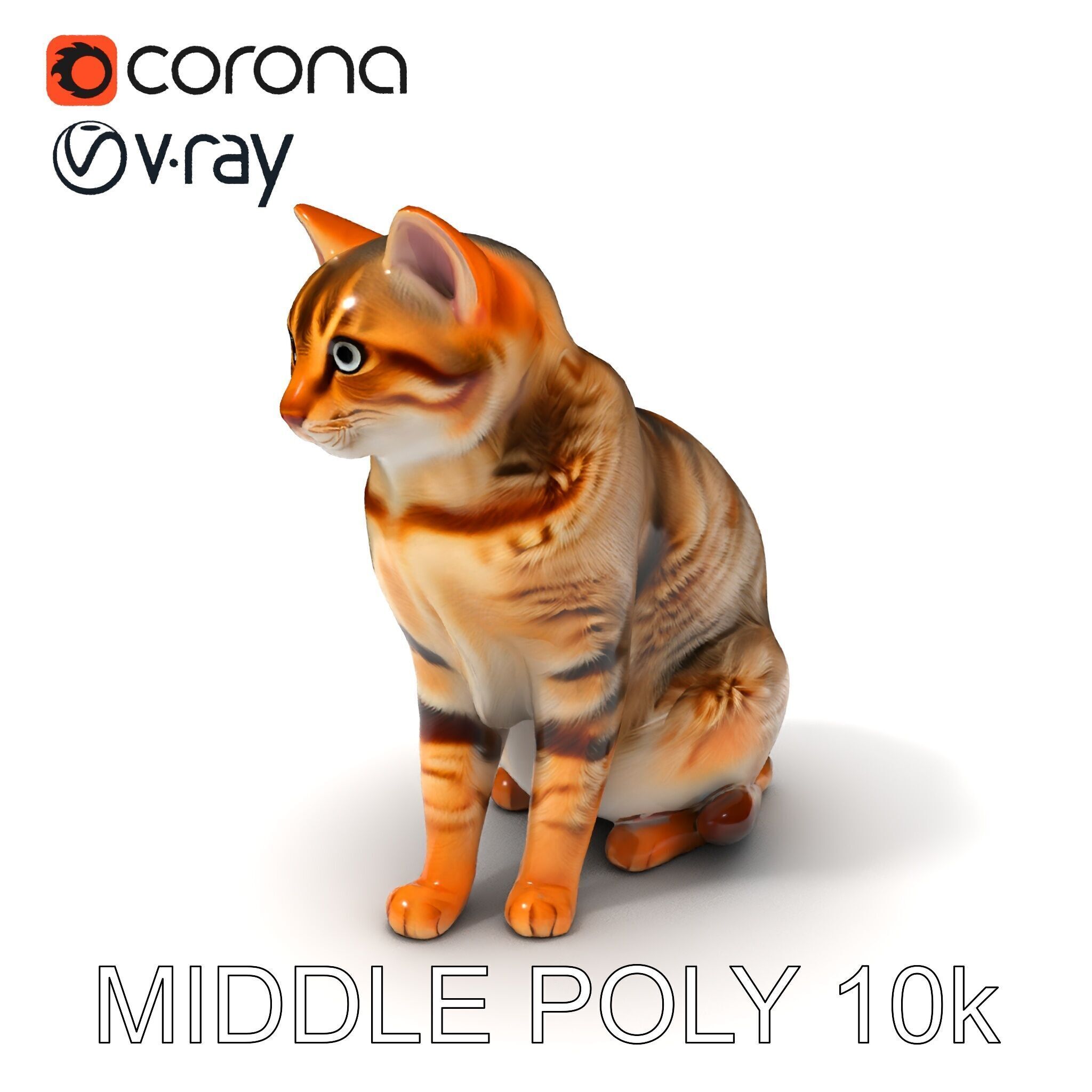 Realistic Cat Model Pack for Animation and Game Environments Low-poly 3D model_24
