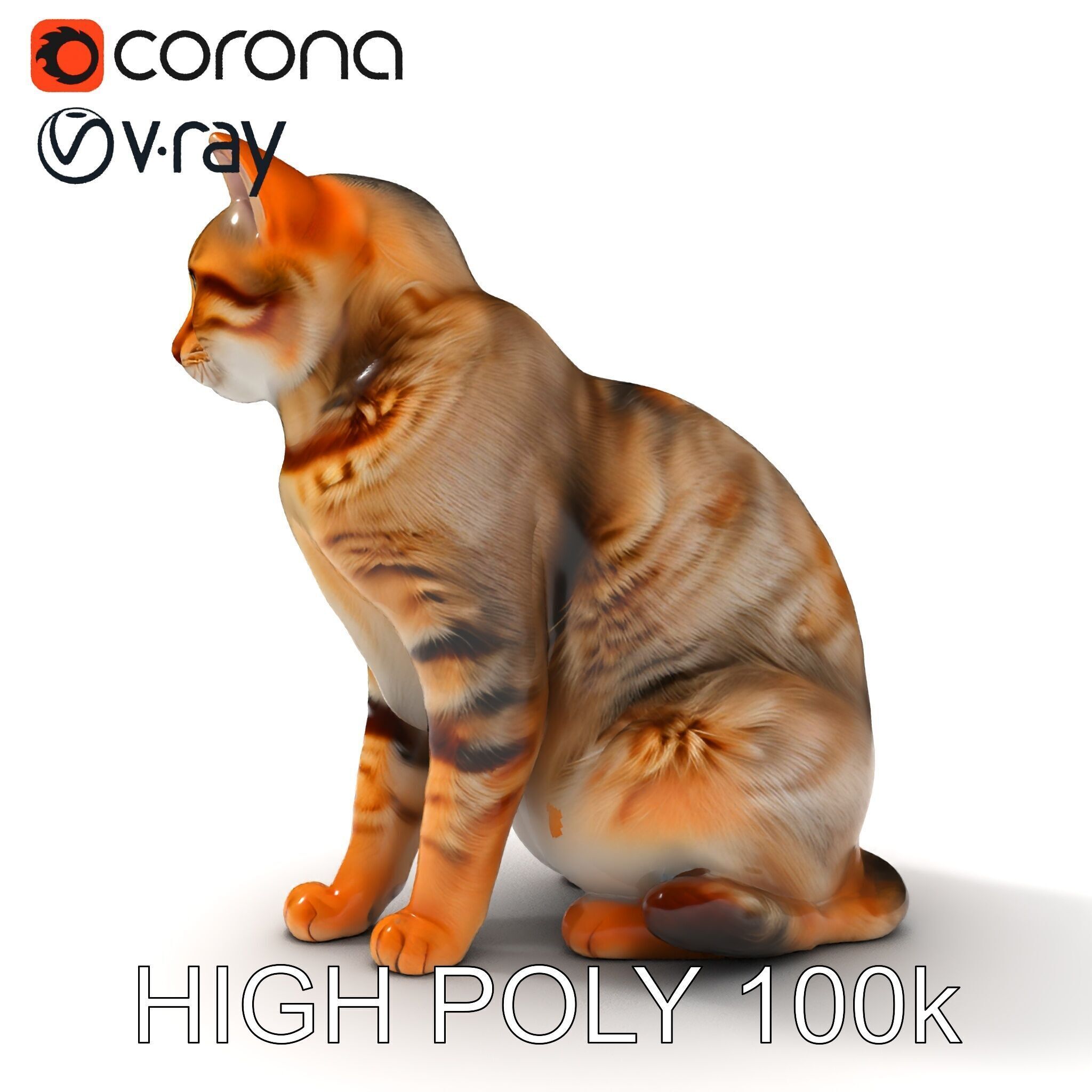 Realistic Cat Model Pack for Animation and Game Environments Low-poly 3D model_17