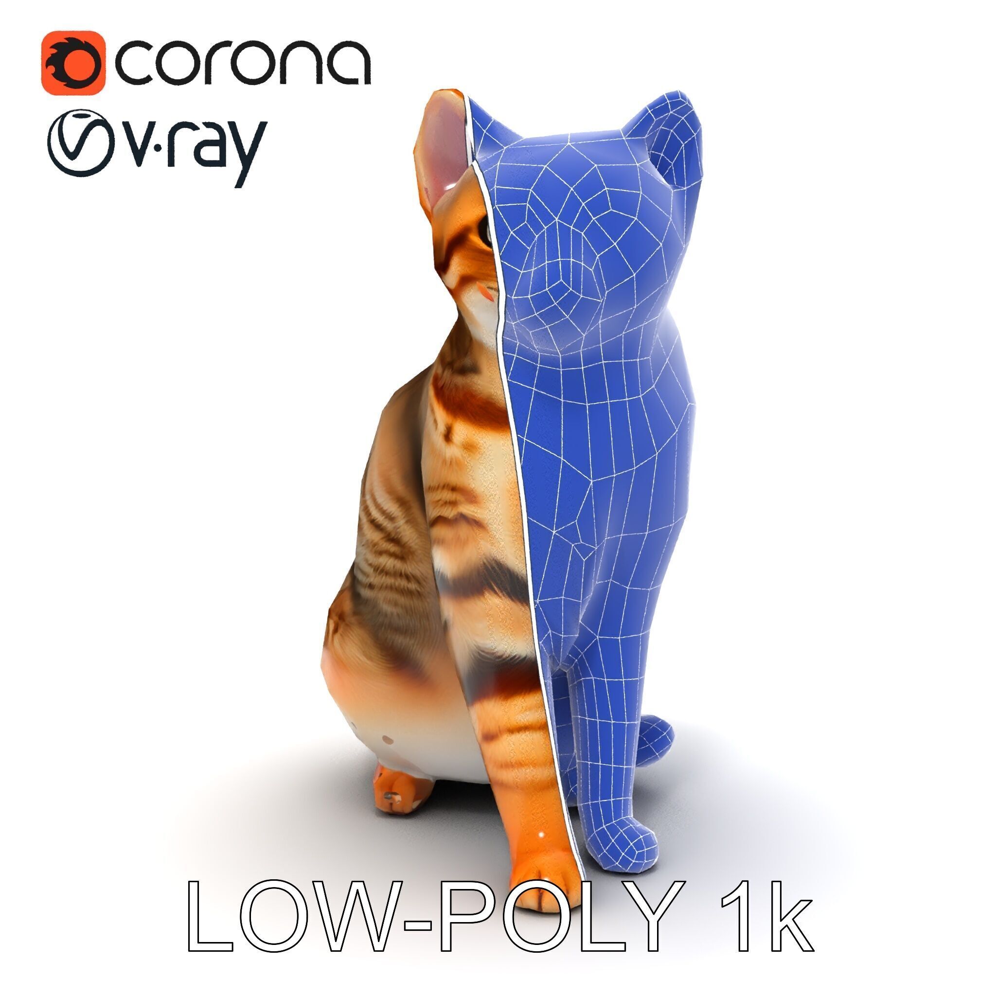 Realistic Cat Model Pack for Animation and Game Environments Low-poly 3D model_33