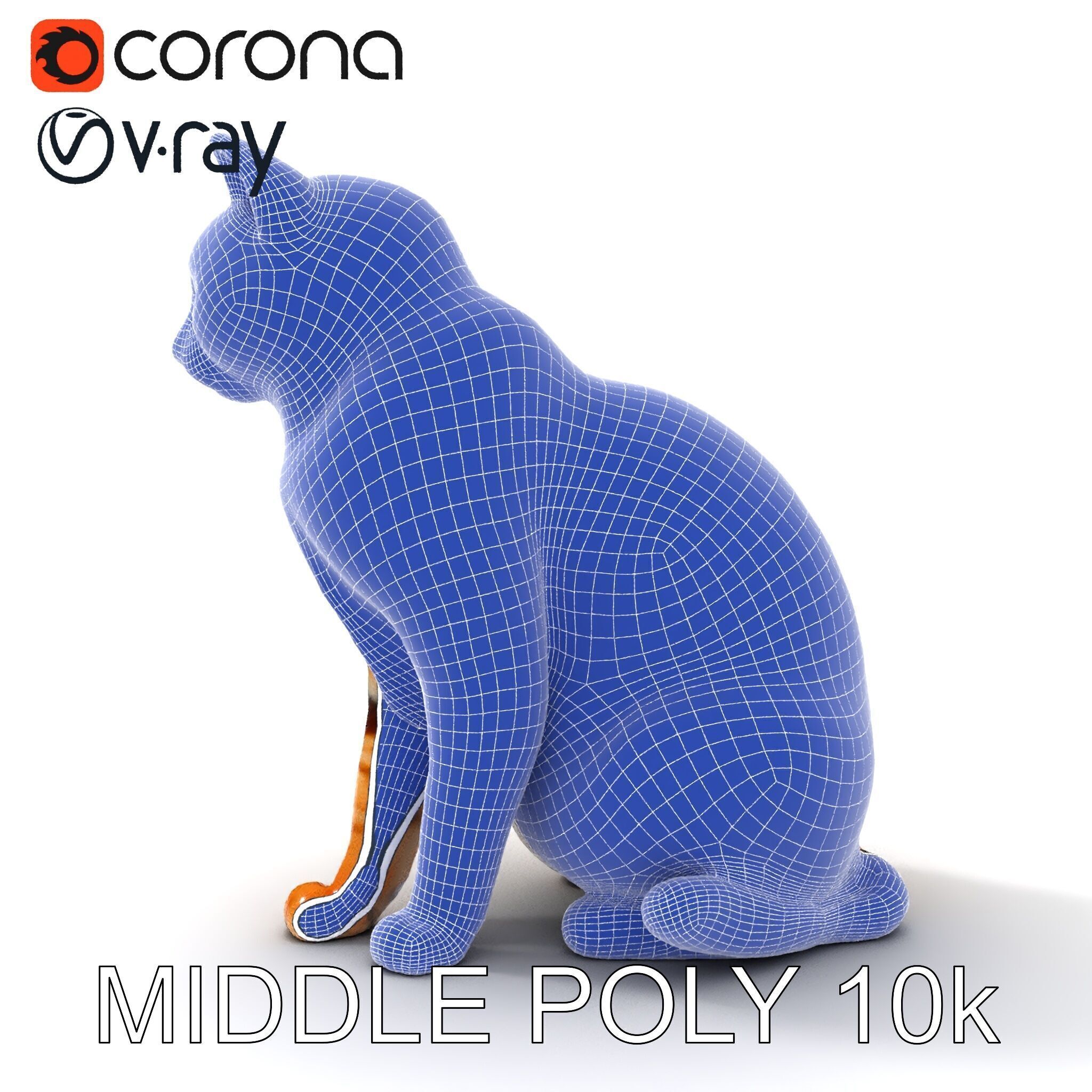 Realistic Cat Model Pack for Animation and Game Environments Low-poly 3D model_11