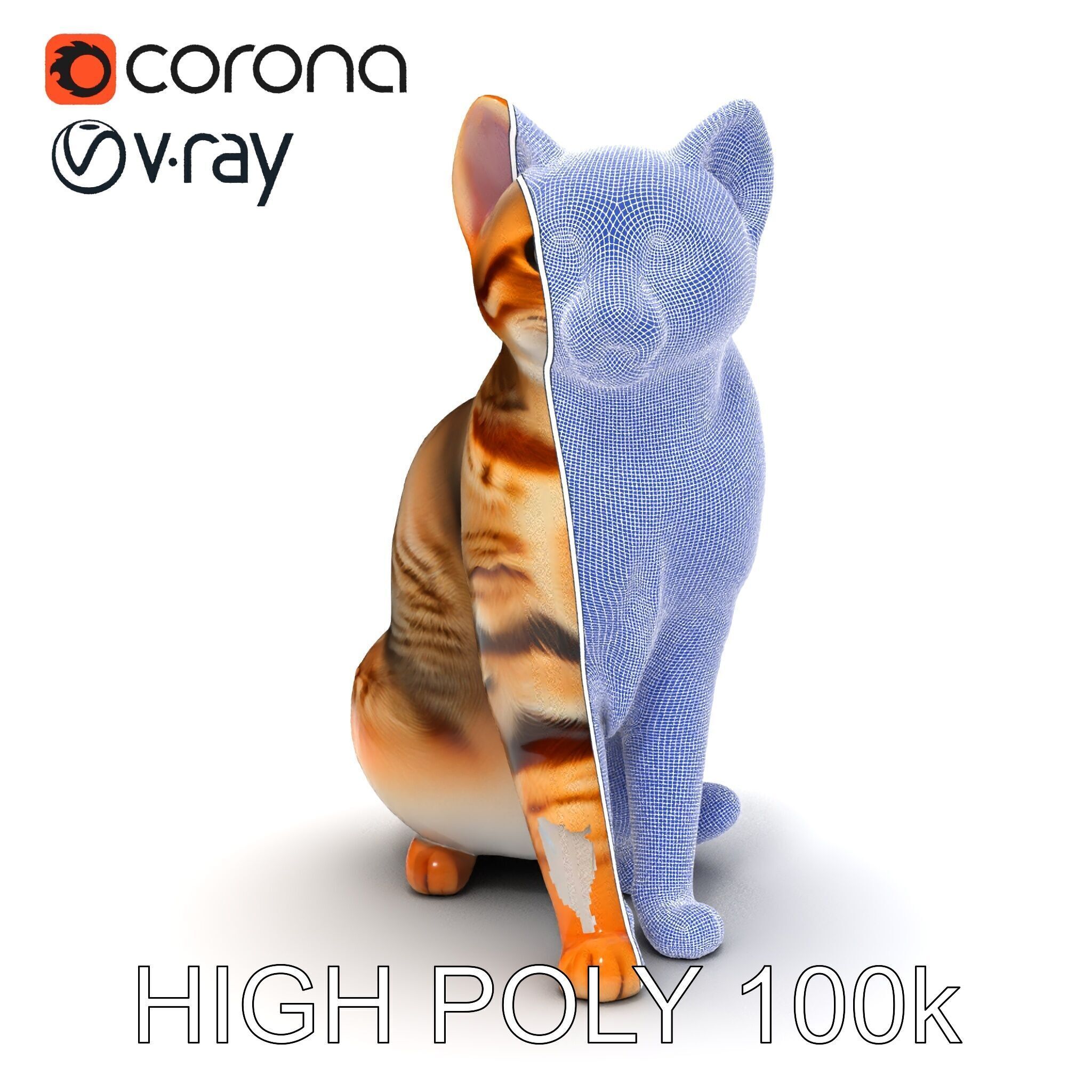 Realistic Cat Model Pack for Animation and Game Environments Low-poly 3D model_34