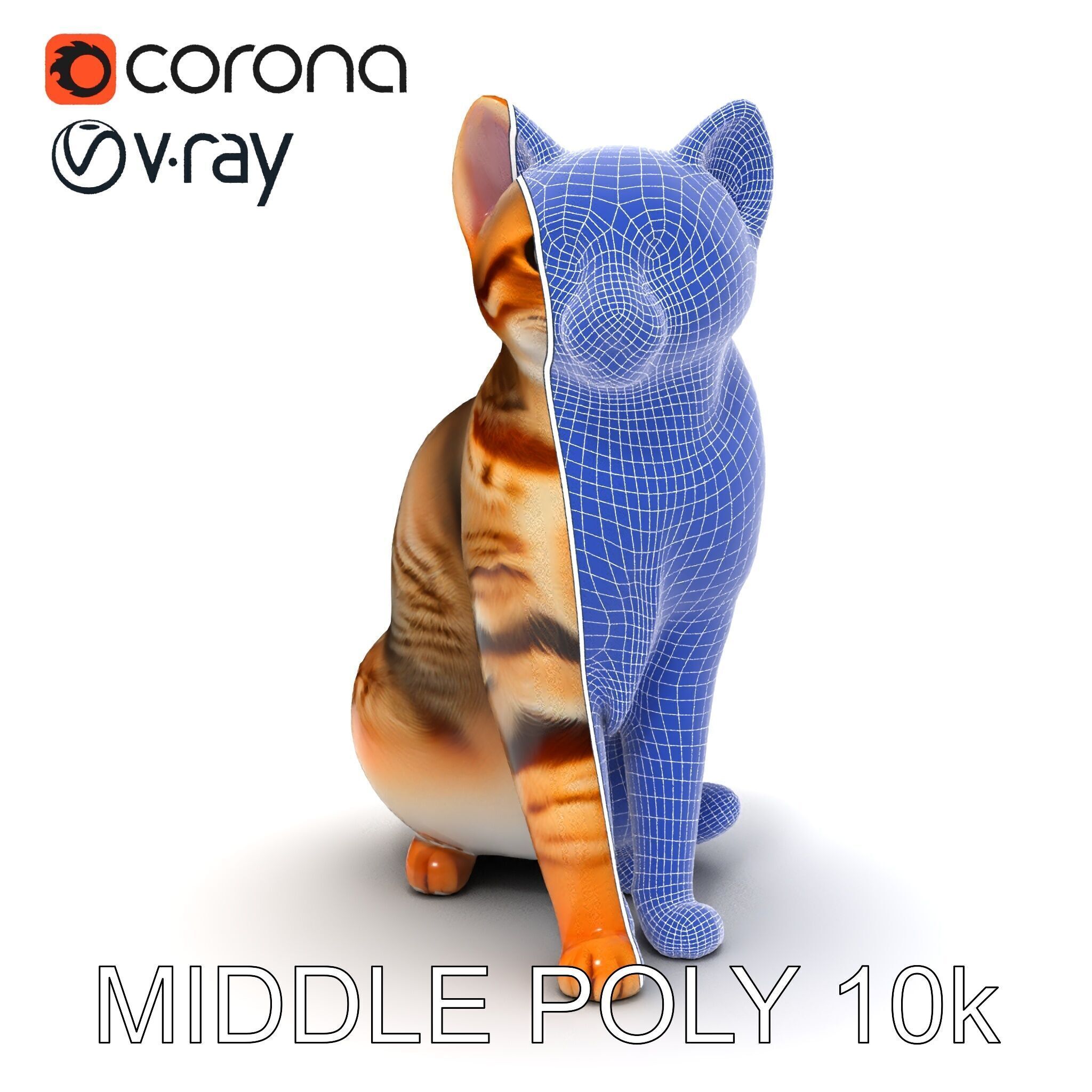 Realistic Cat Model Pack for Animation and Game Environments Low-poly 3D model_26