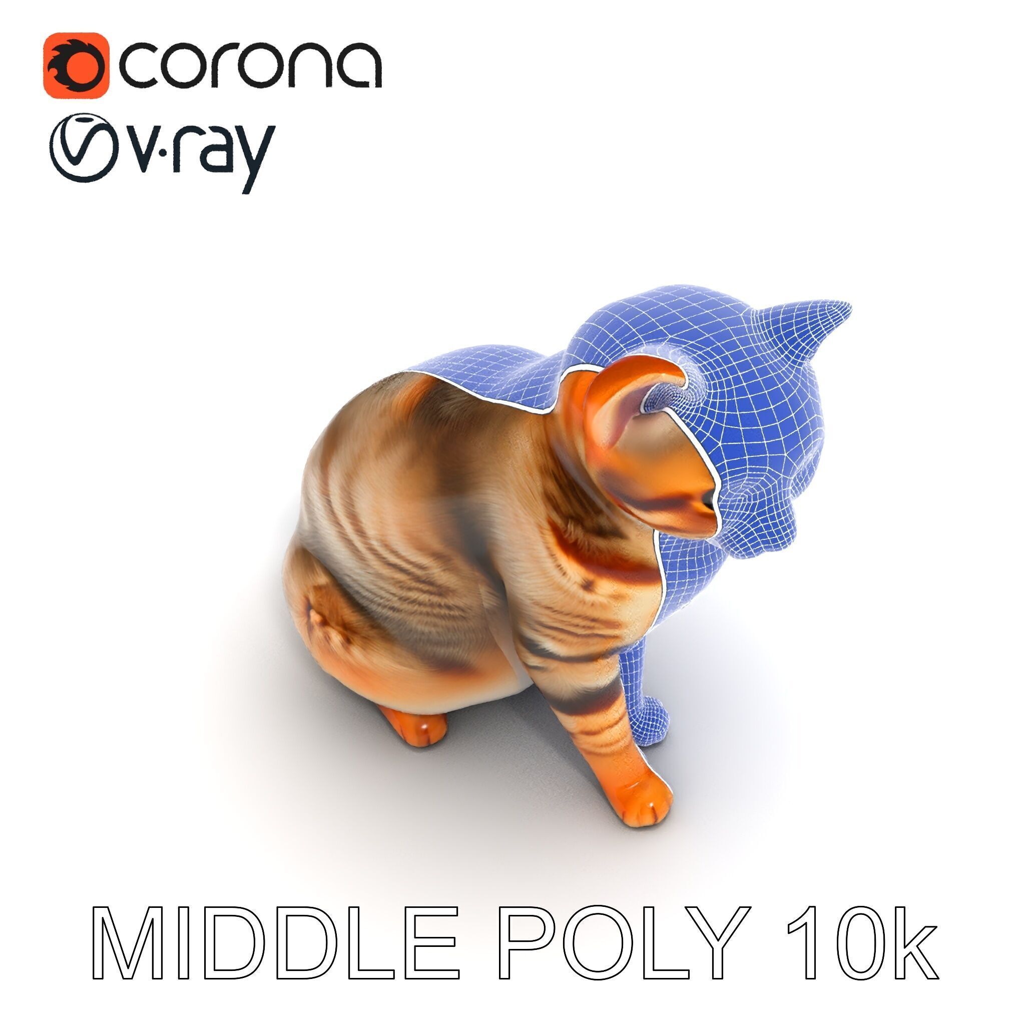 Realistic Cat Model Pack for Animation and Game Environments Low-poly 3D model_32