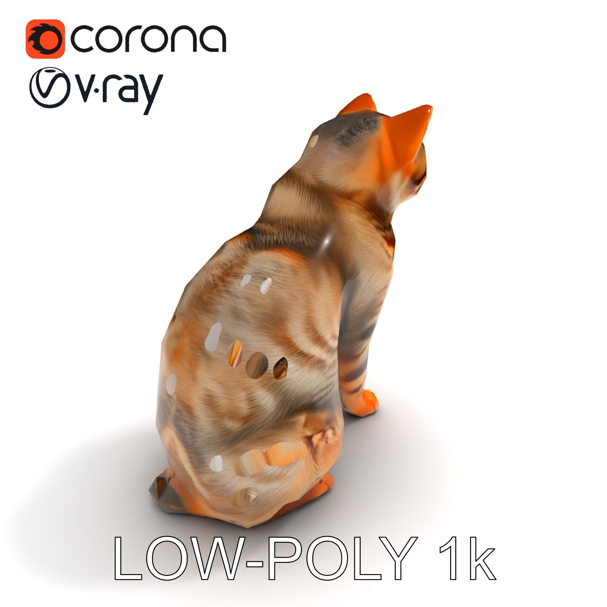 Realistic Cat Model Pack for Animation and Game Environments Low-poly 3D model_27