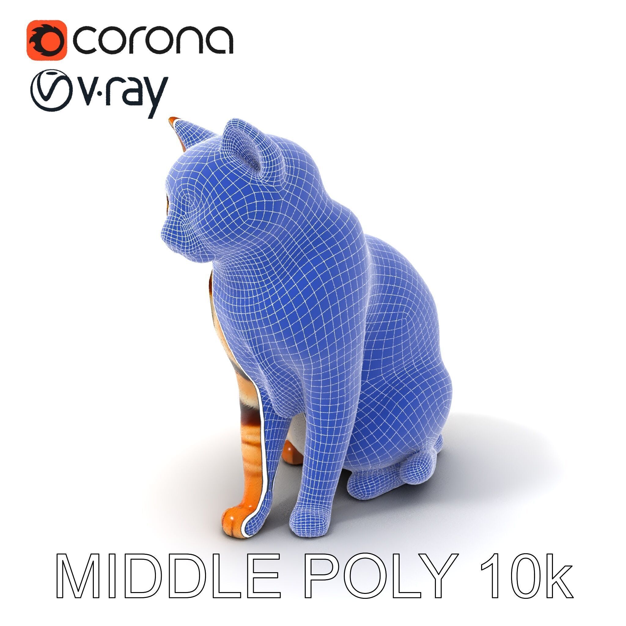 Realistic Cat Model Pack for Animation and Game Environments Low-poly 3D model_21