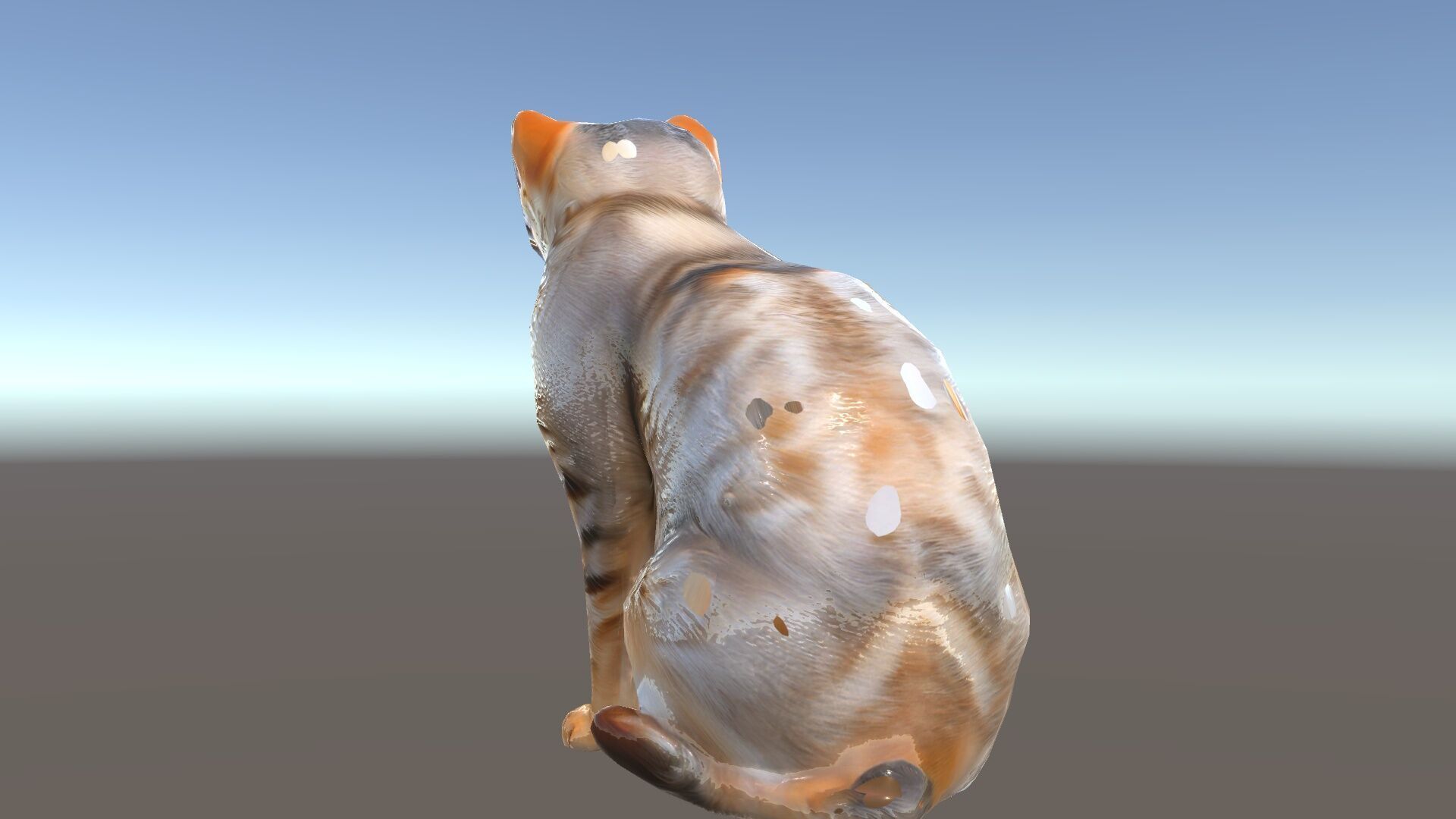 Realistic Cat Model Pack for Animation and Game Environments Low-poly 3D model_16