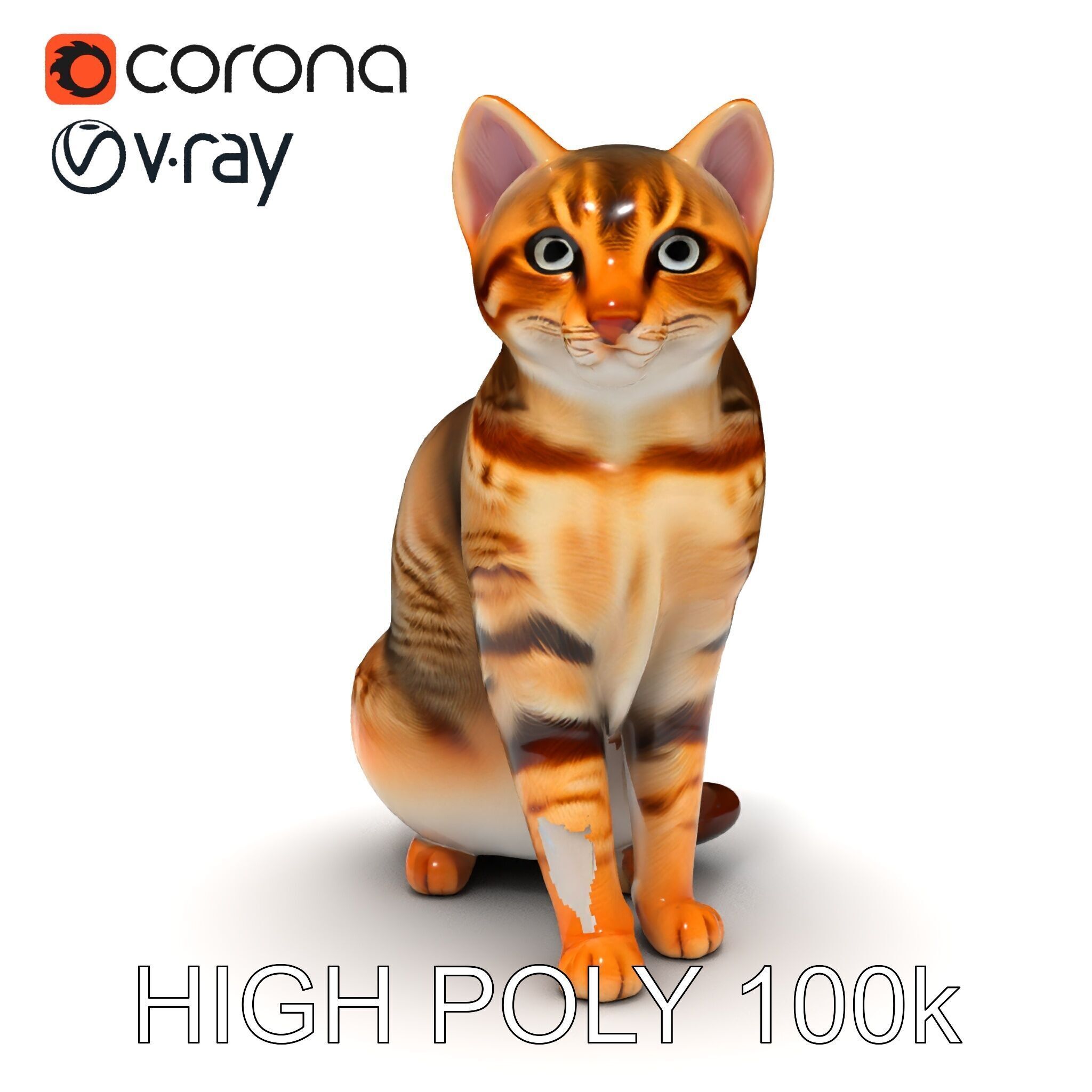 Realistic Cat Model Pack for Animation and Game Environments Low-poly 3D model_28
