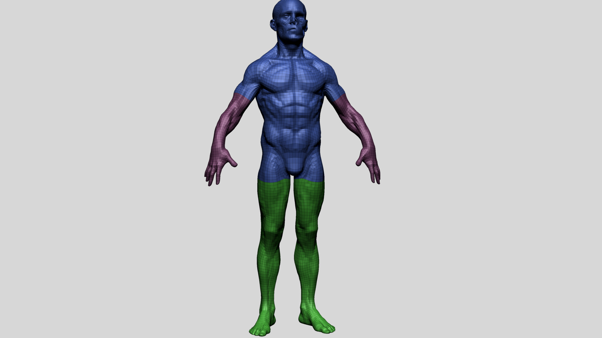 Human Anatomy - Male D 3D model_11