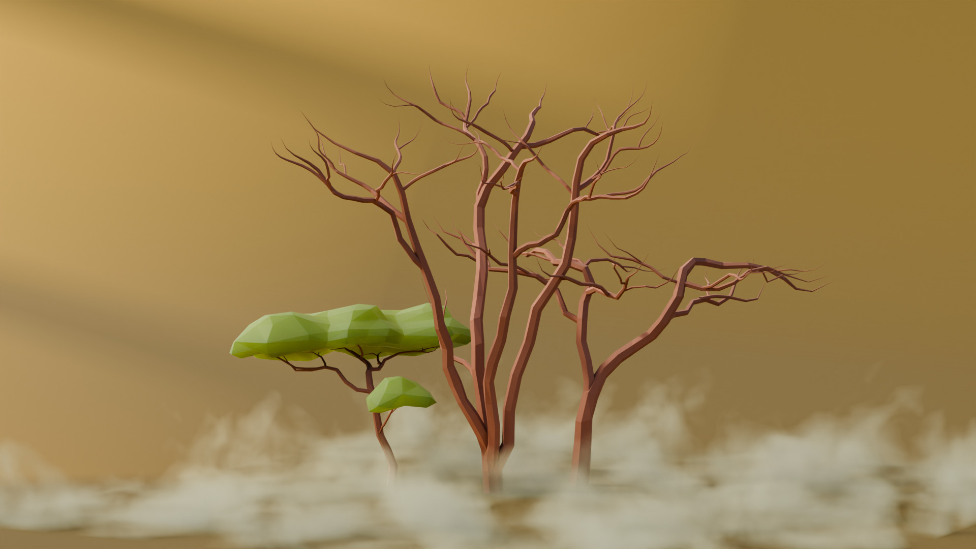 Low Poly Savanna Trees Low-poly 3D model_8