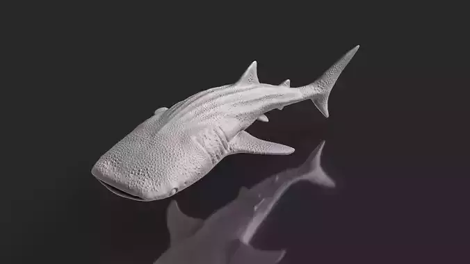 Sea Life Series Whale Shark STL Toy