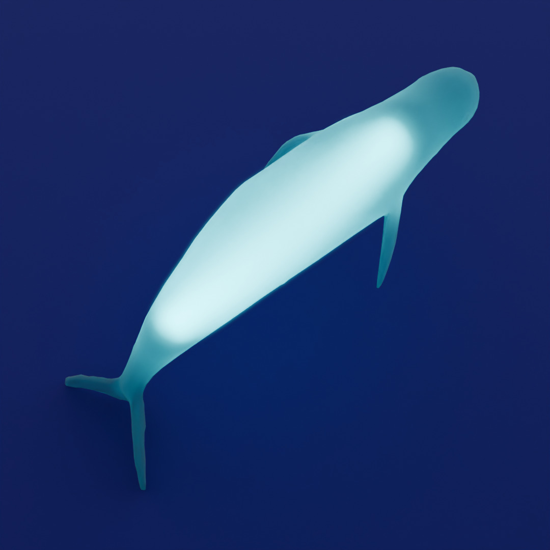 Indirect lighting of beluga and dugong 3D model_3