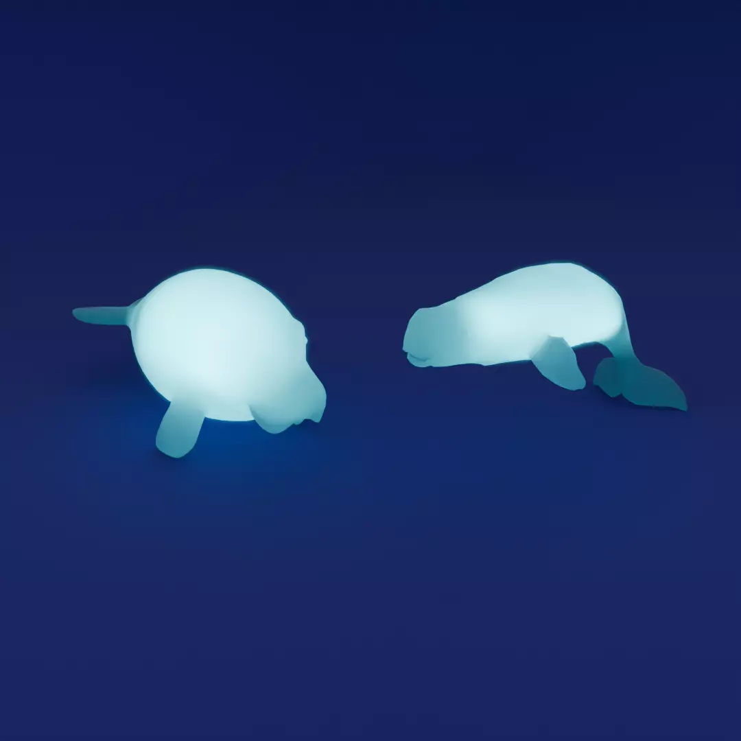 Indirect lighting of beluga and dugong 3D model_0