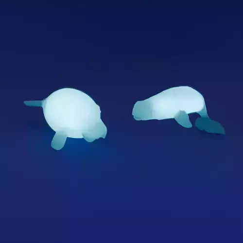 Indirect lighting of beluga and dugong
