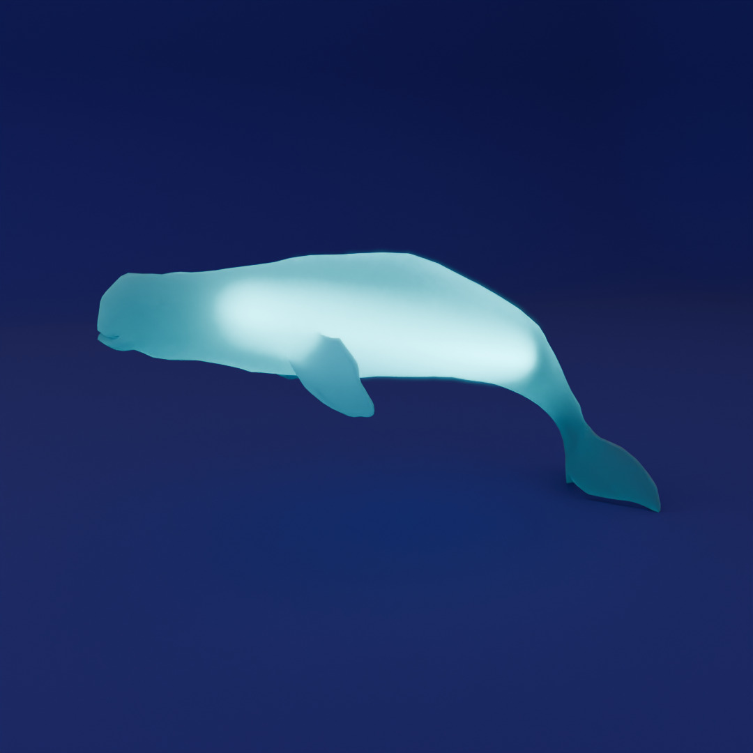 Indirect lighting of beluga and dugong 3D model_1