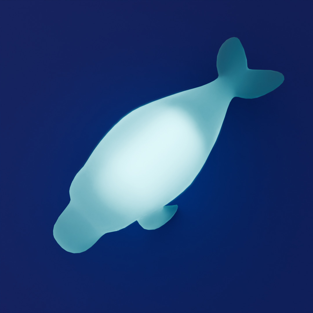 Indirect lighting of beluga and dugong 3D model_6